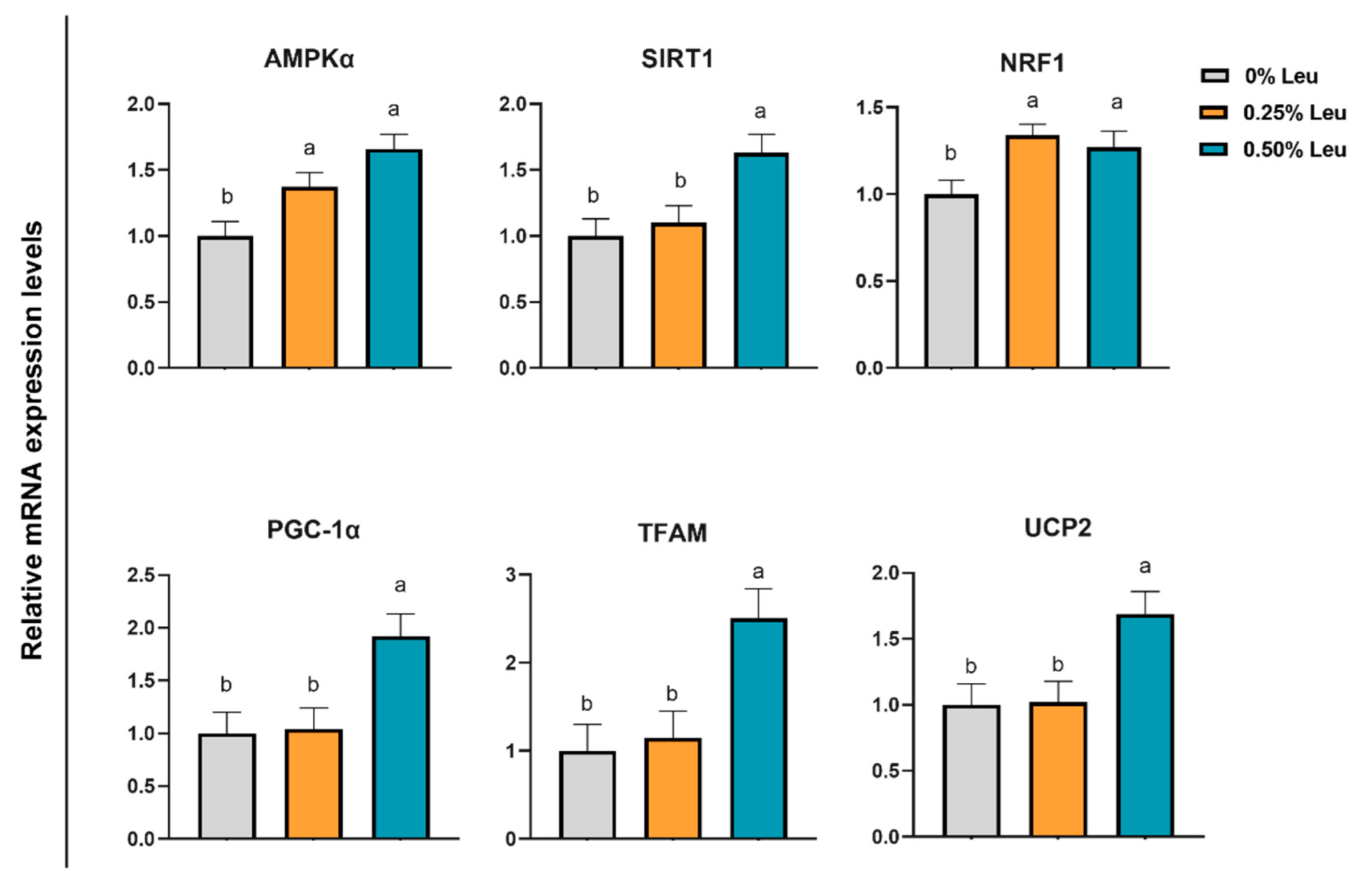 Antioxidants 11 01373 g004