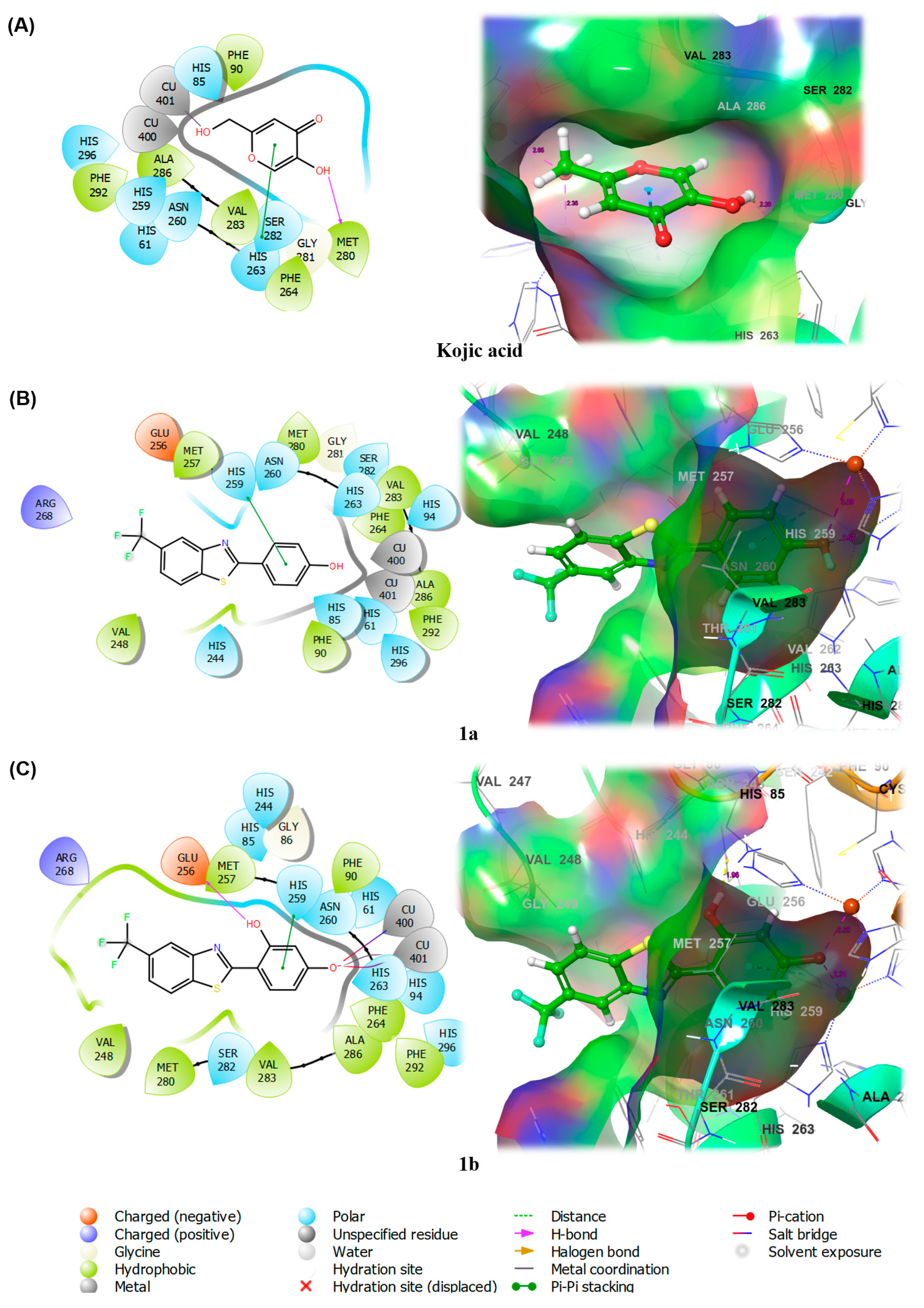 Antioxidants 11 01375 g005