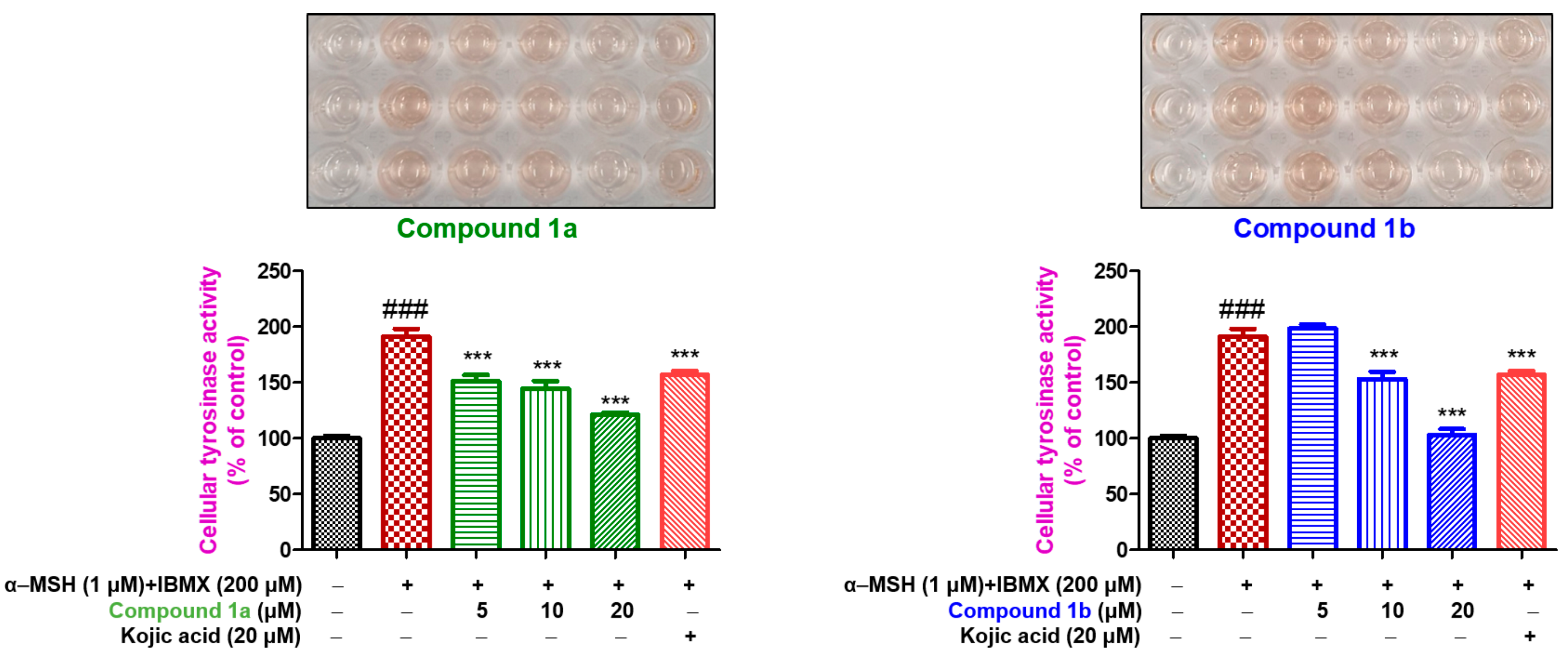 Antioxidants 11 01375 g010