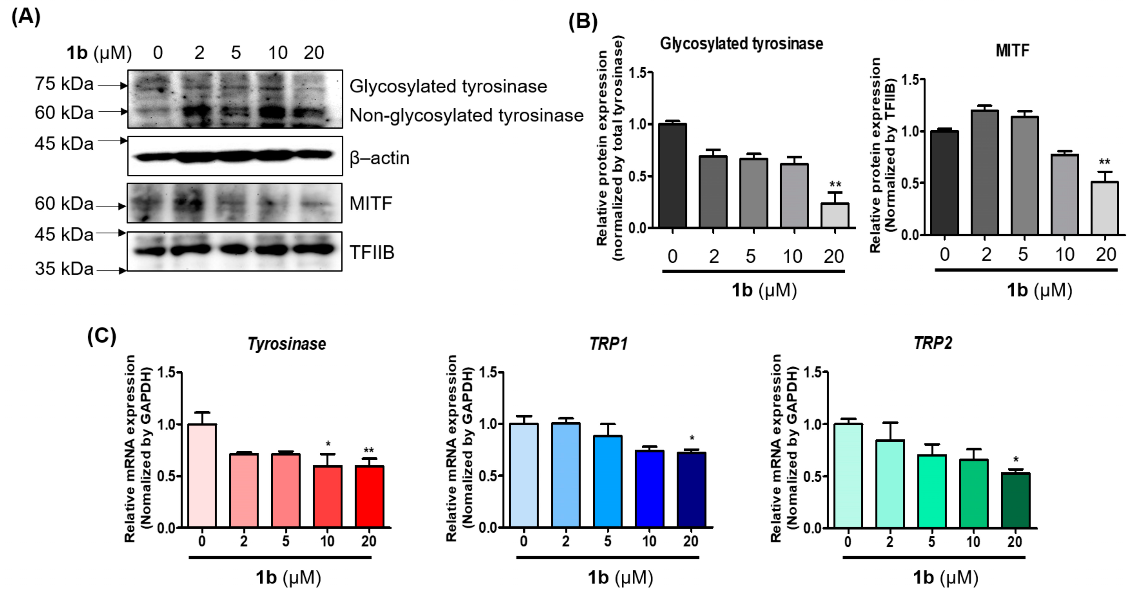 Antioxidants 11 01375 g011