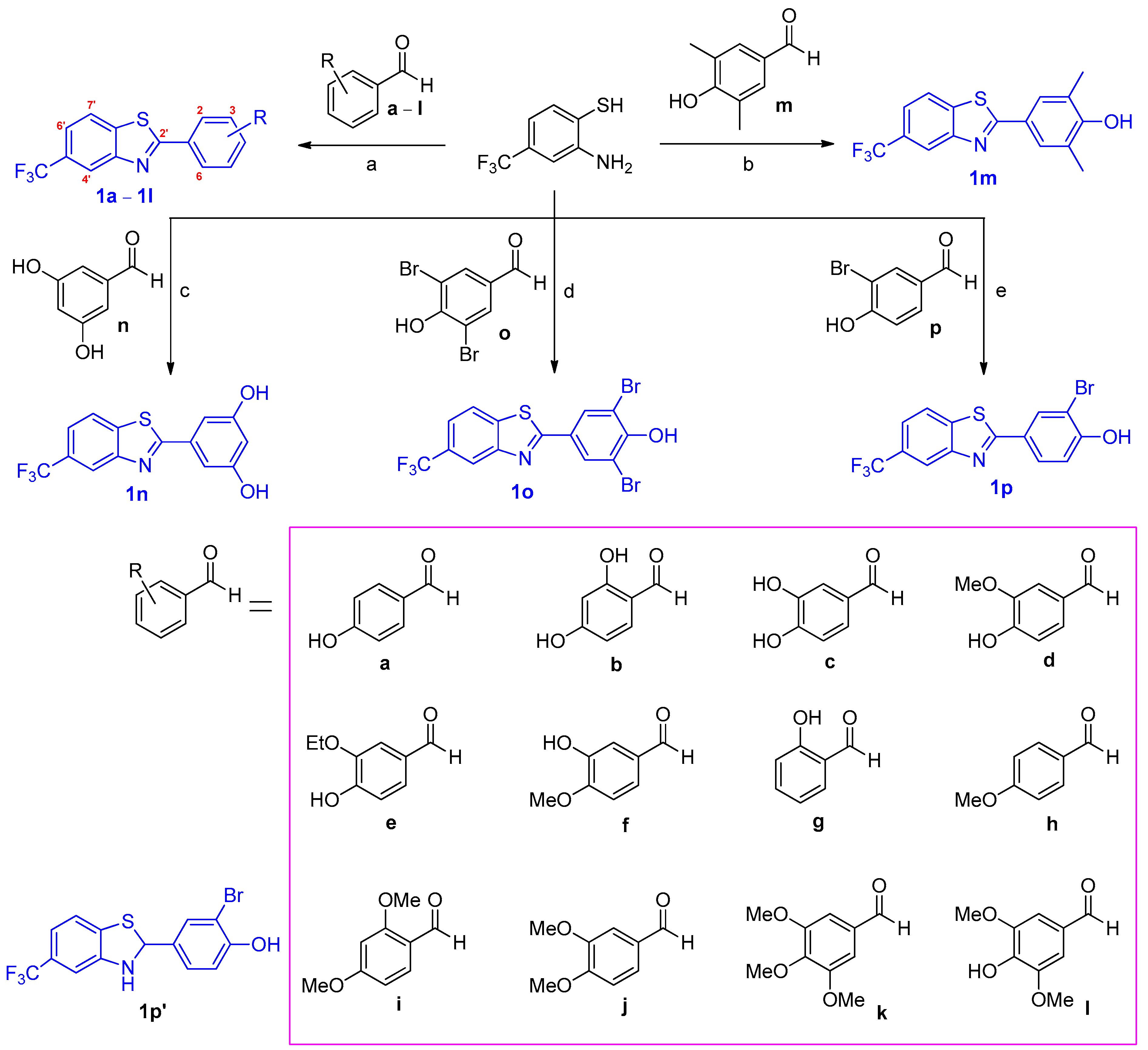Antioxidants 11 01375 sch001