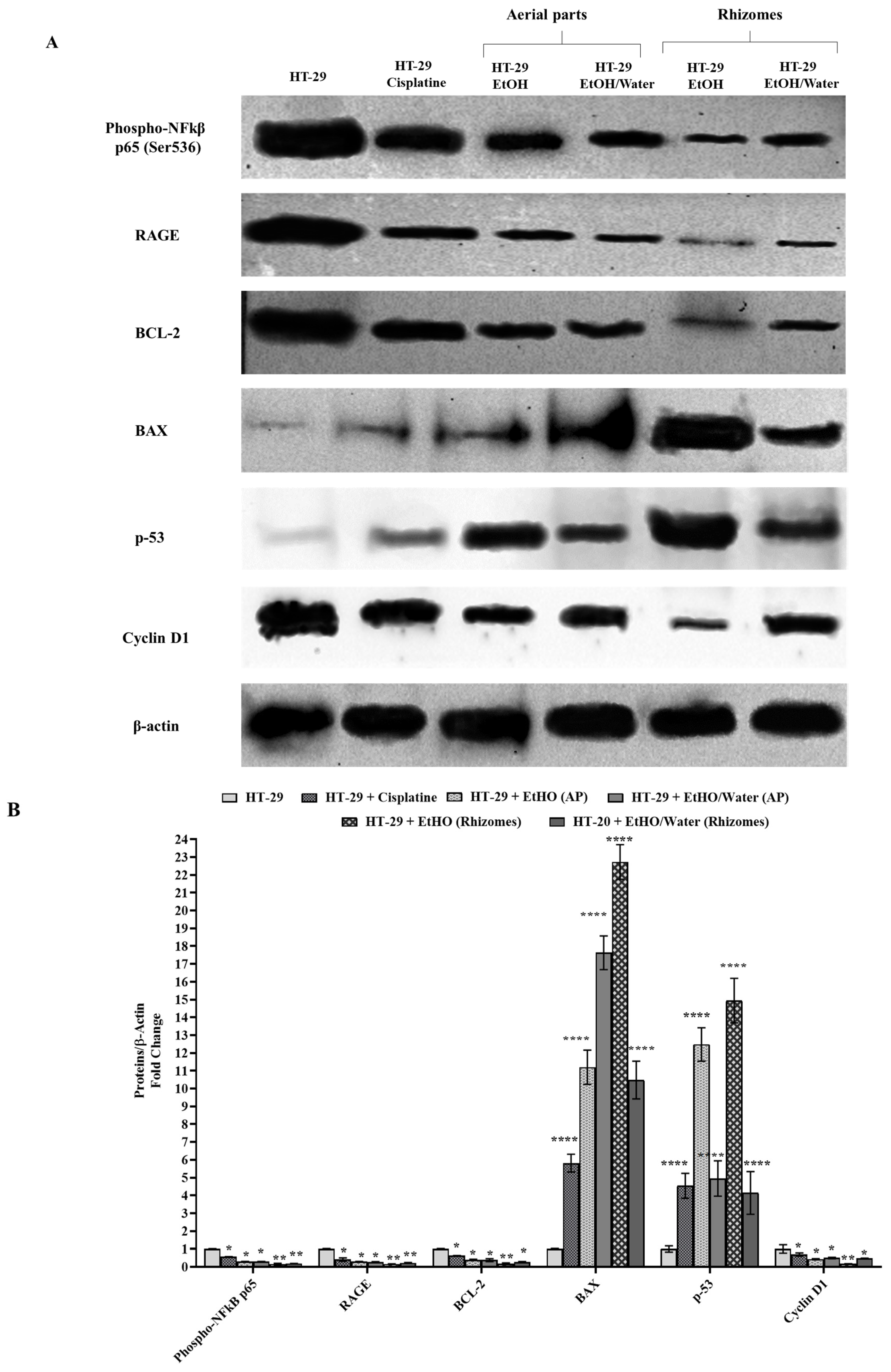 Antioxidants 11 01377 g006 Antioxidants 11 01377 g006