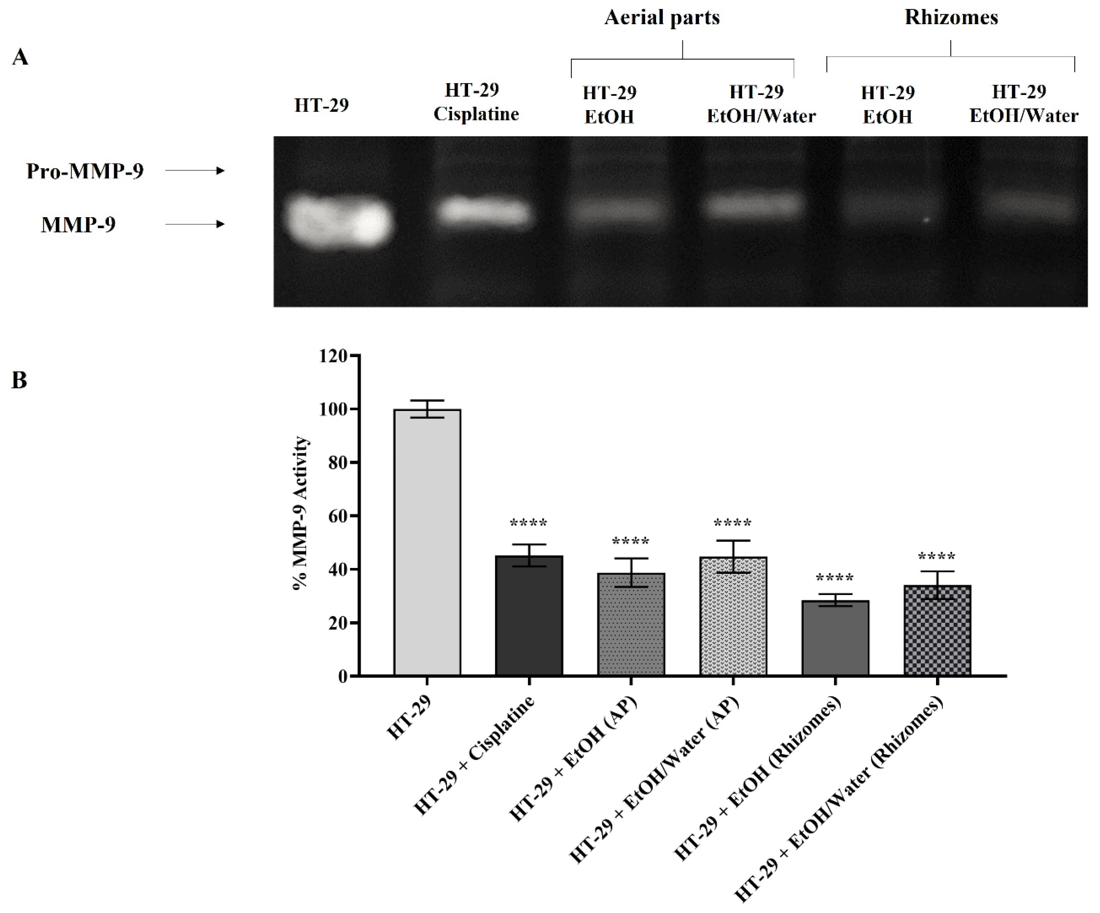 Antioxidants 11 01377 g007 Antioxidants 11 01377 g007