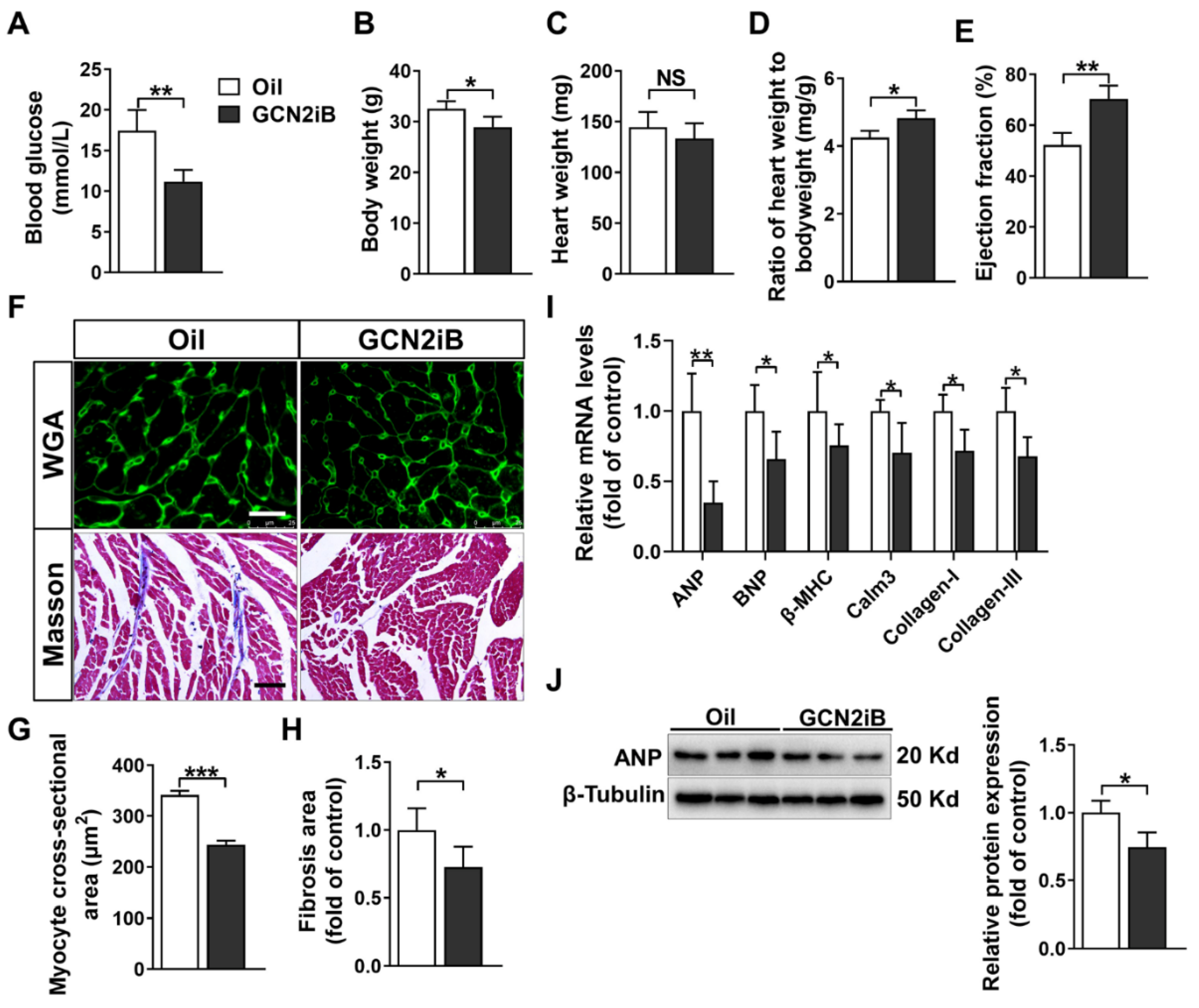 Antioxidants 11 01379 g001