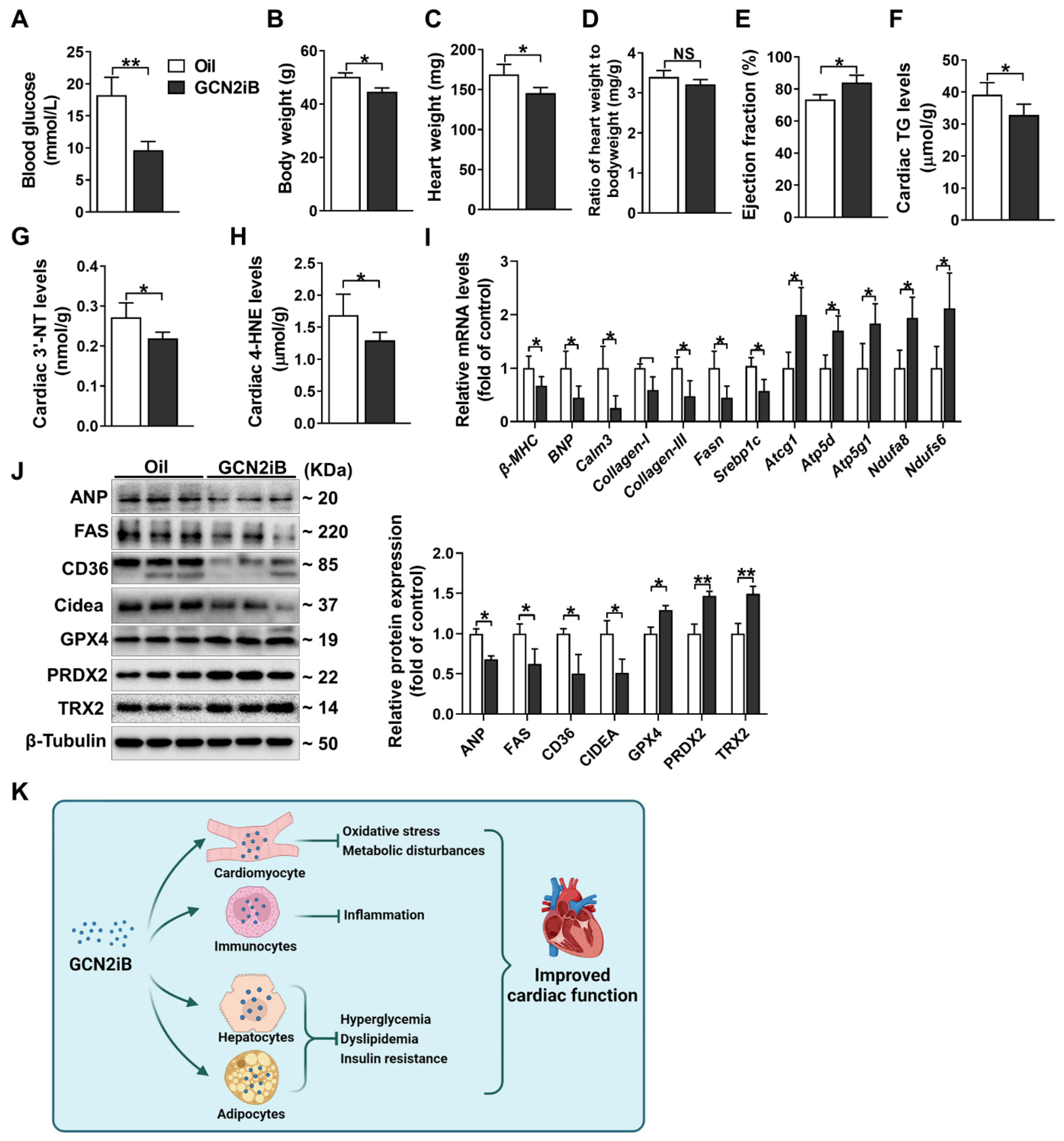 Antioxidants 11 01379 g005