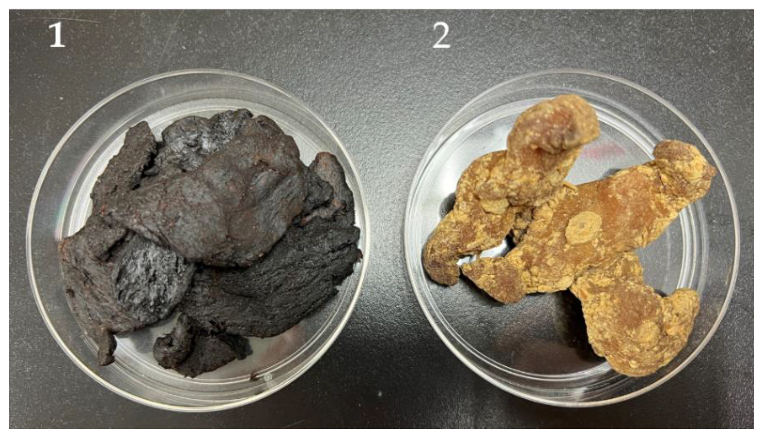 Antioxidants 11 01383 g001