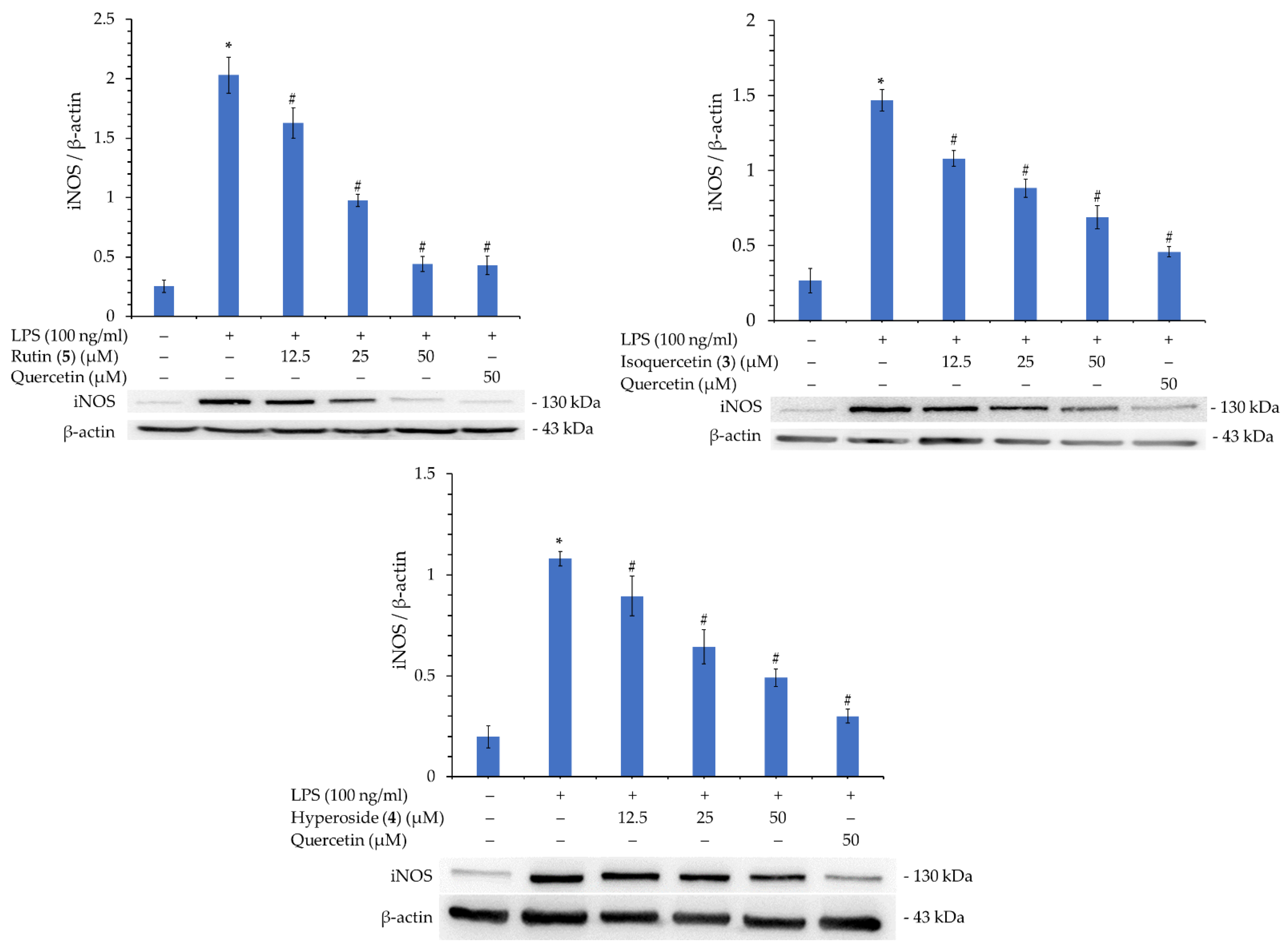 Antioxidants 11 01383 g005