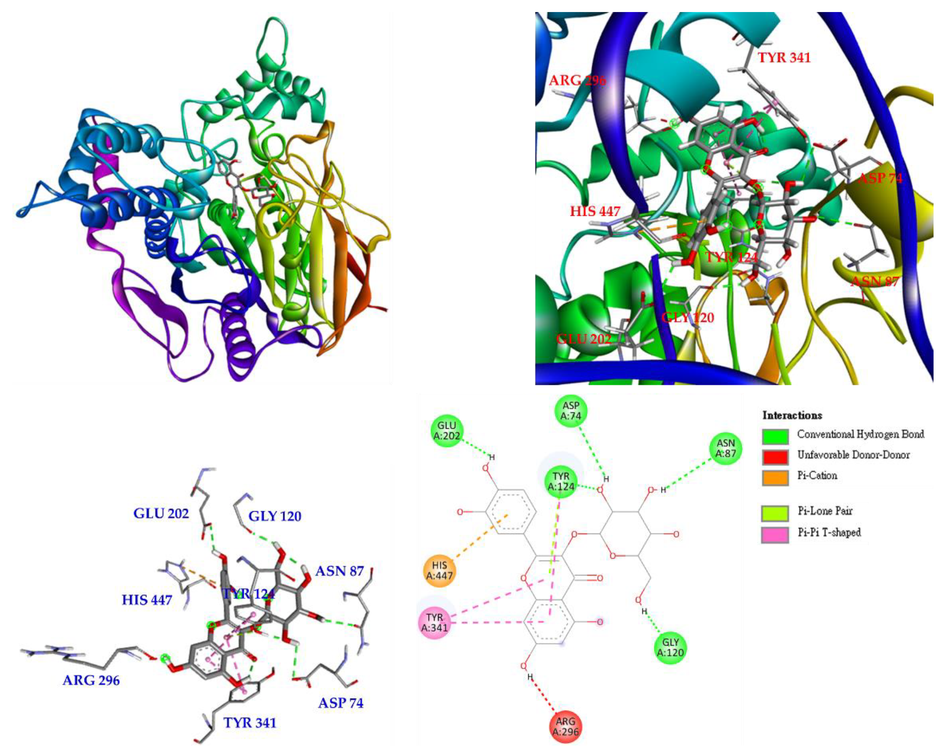 Antioxidants 11 01383 g007