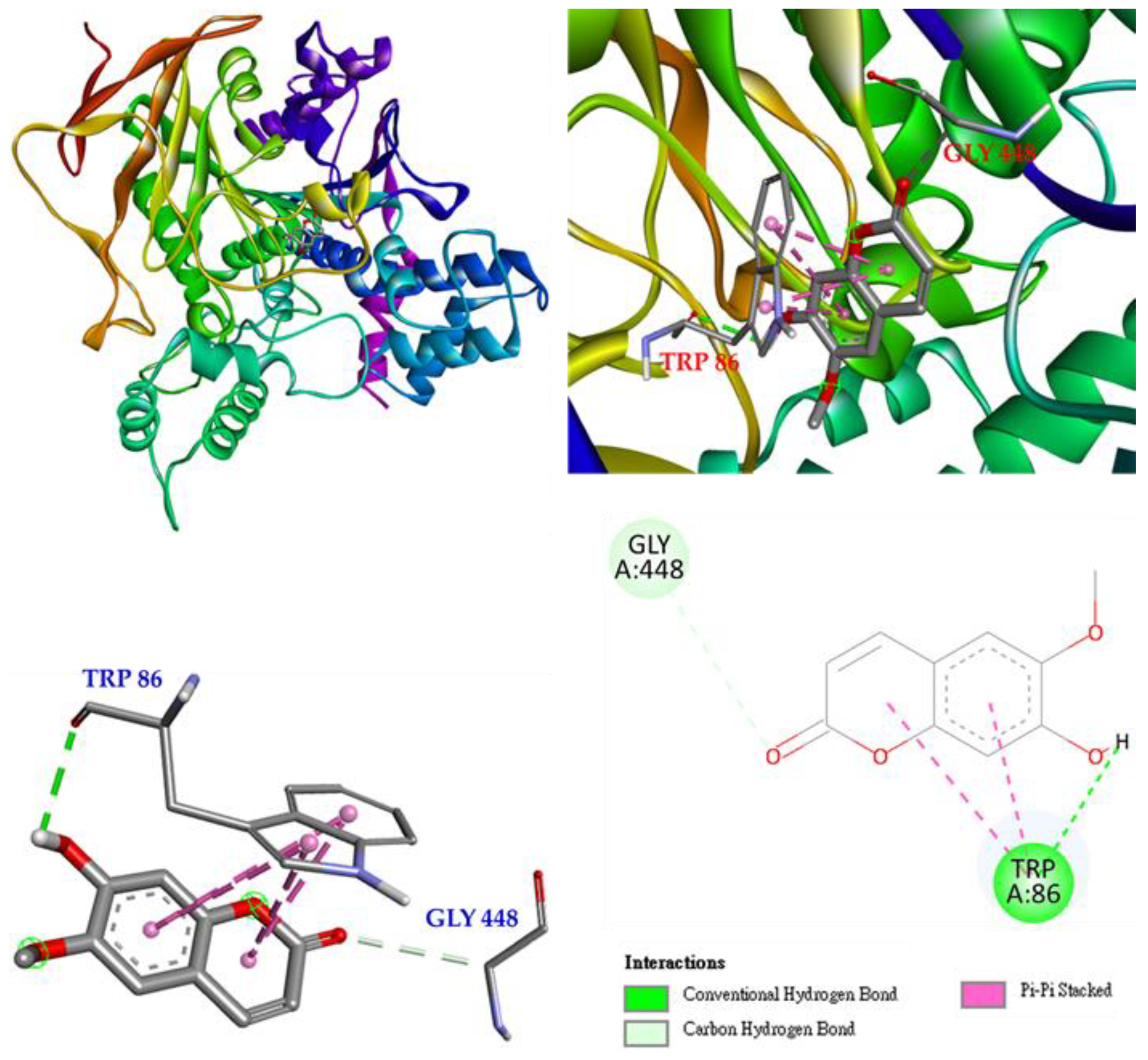 Antioxidants 11 01383 g008