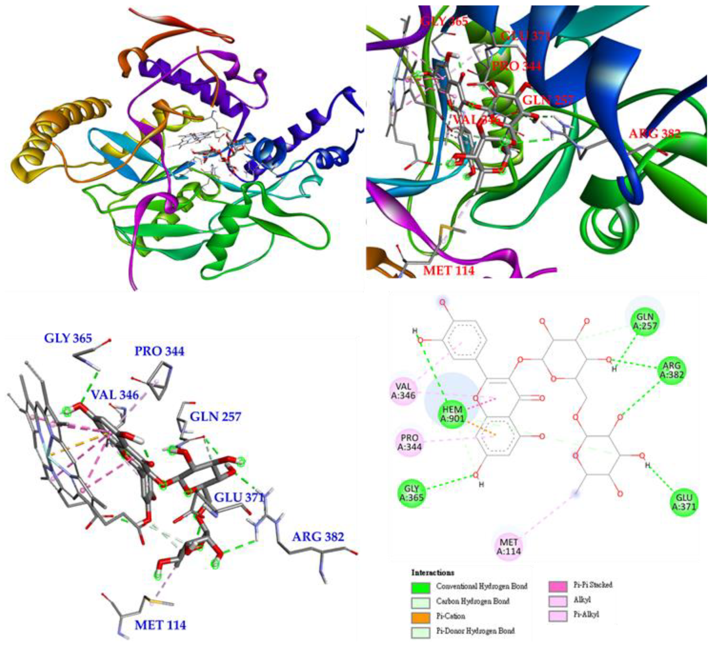 Antioxidants 11 01383 g010