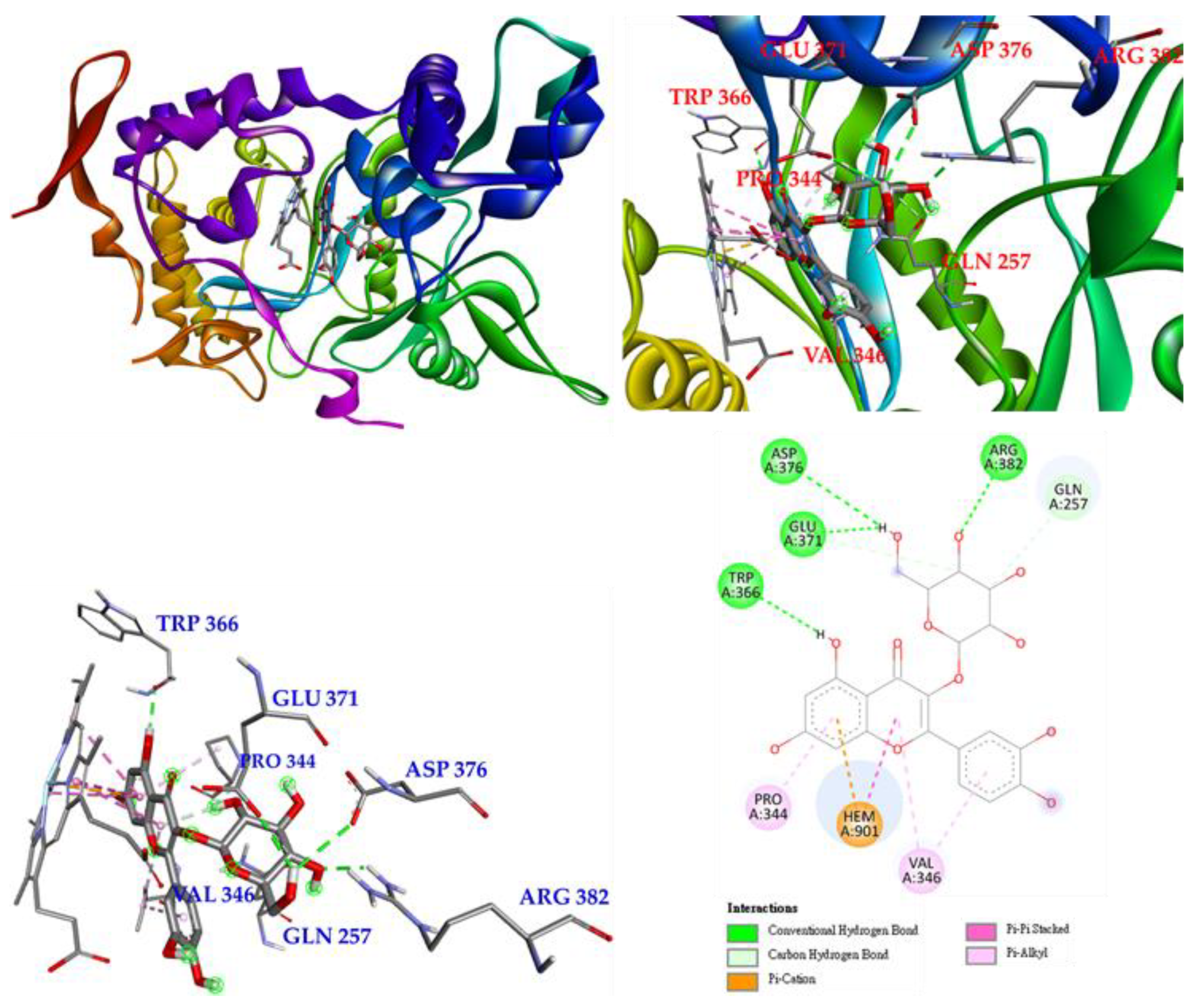 Antioxidants 11 01383 g011