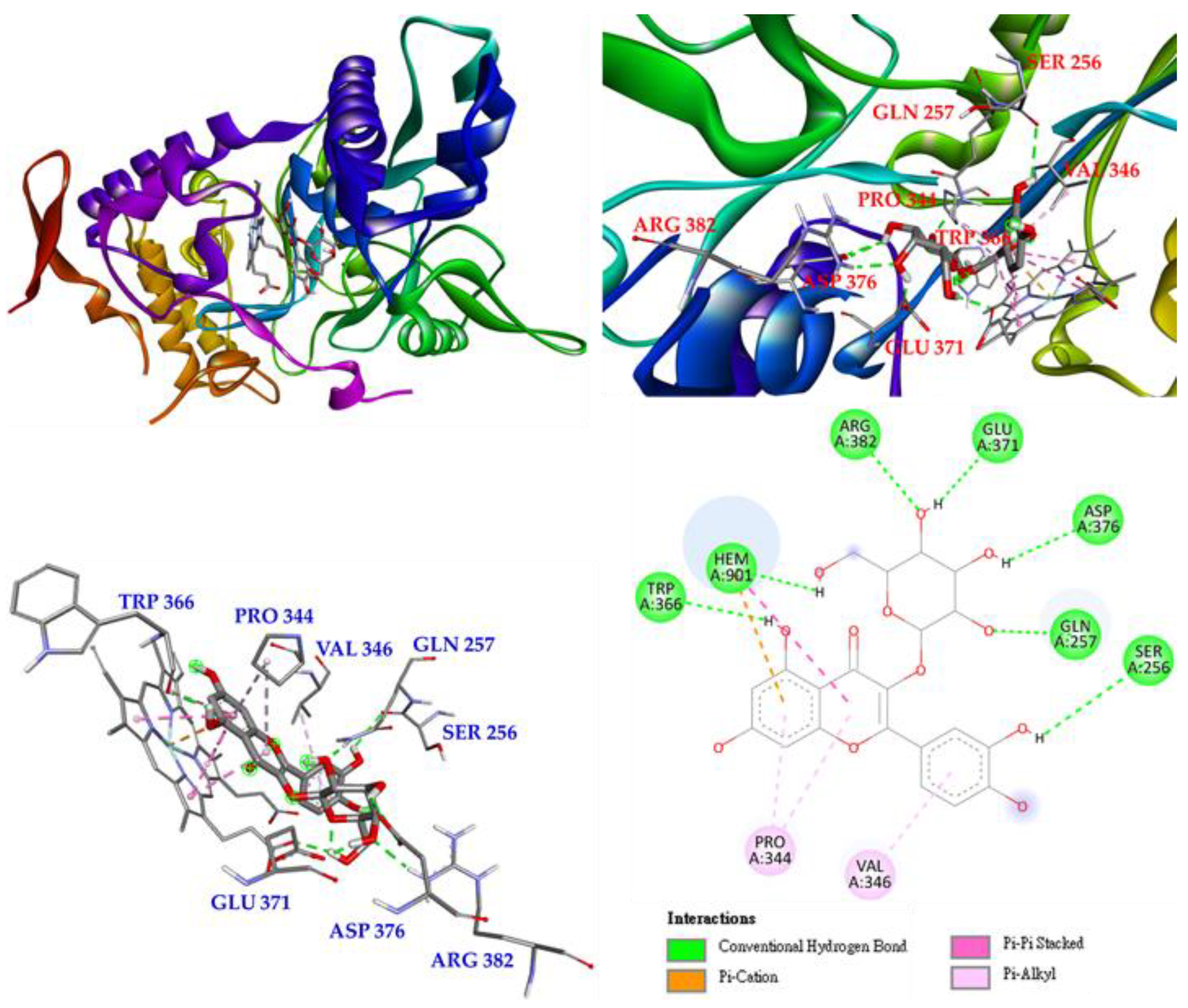 Antioxidants 11 01383 g012