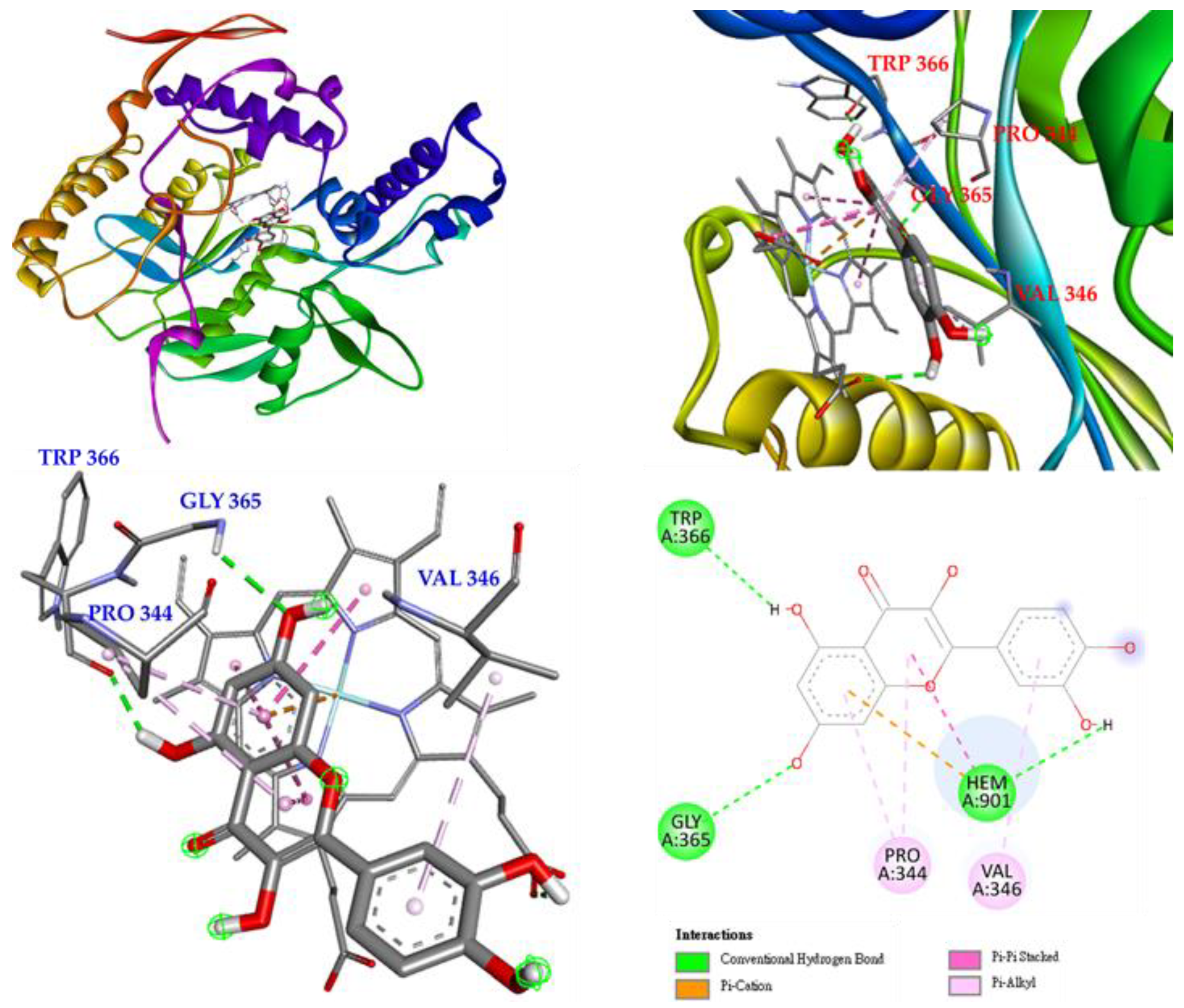 Antioxidants 11 01383 g013