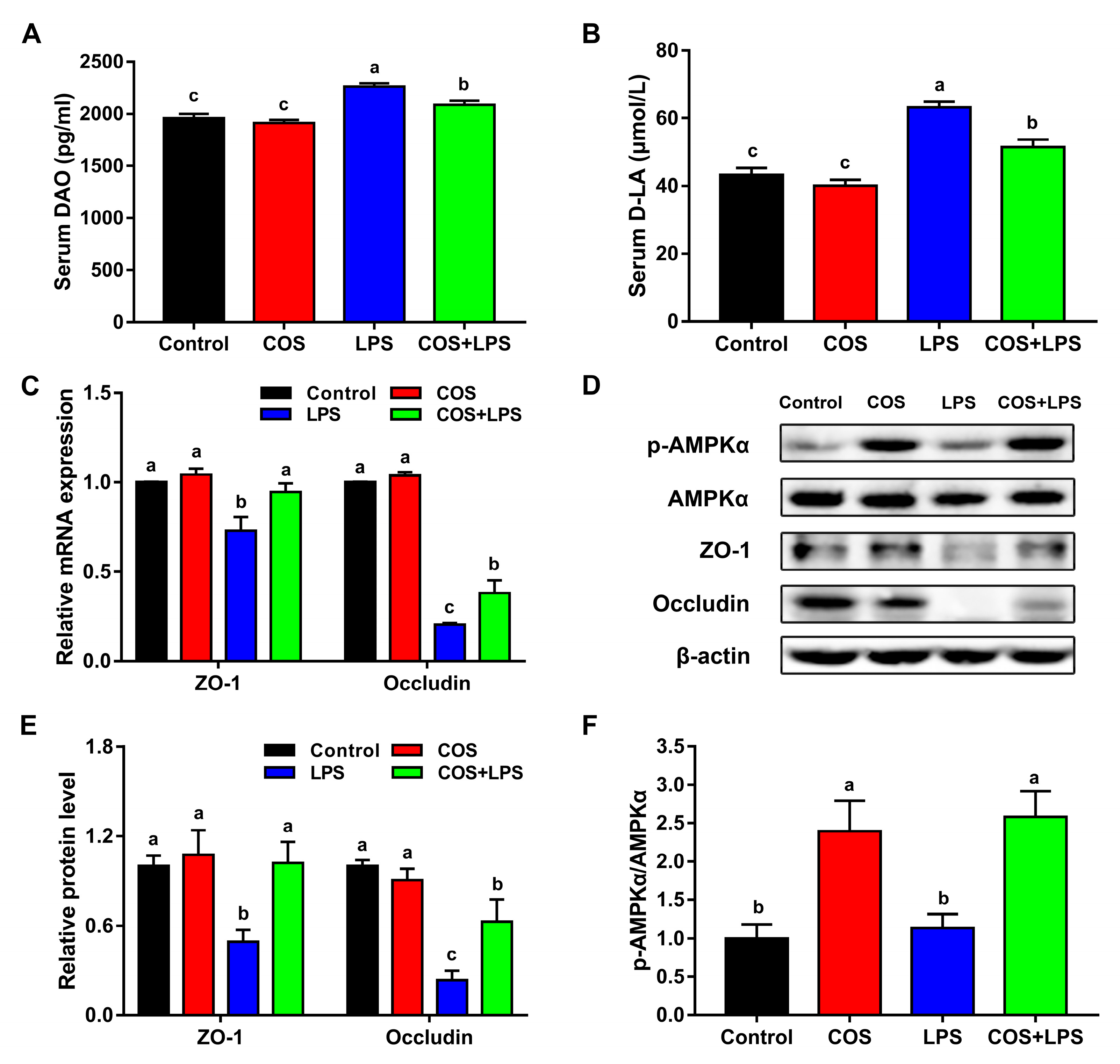 Antioxidants 11 01384 g004