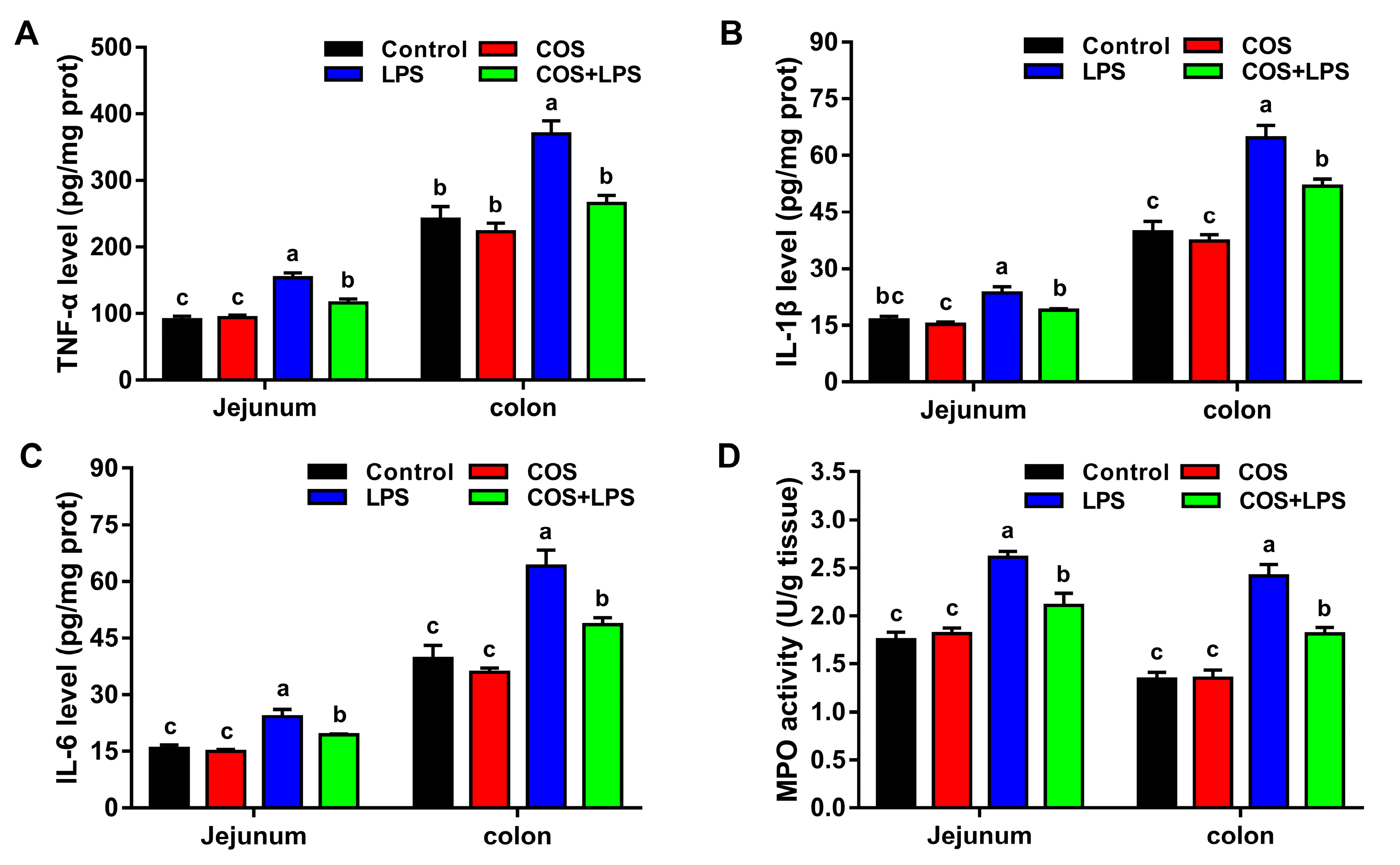 Antioxidants 11 01384 g006