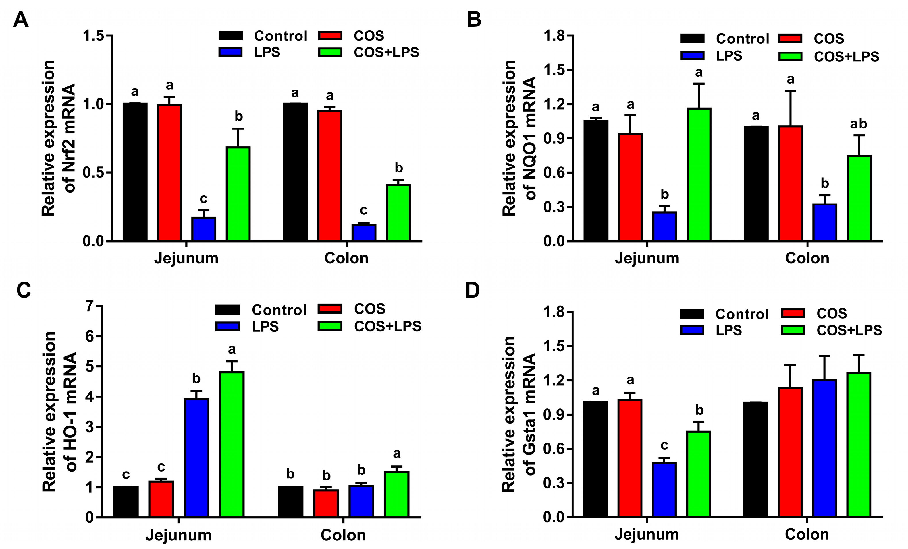 Antioxidants 11 01384 g008