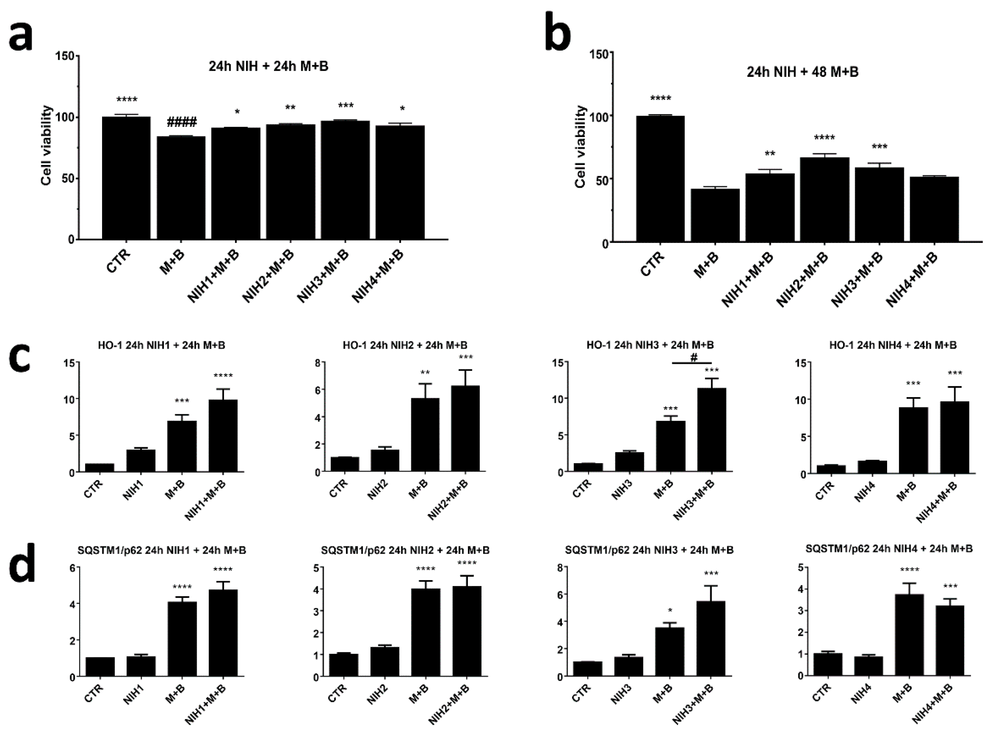 Antioxidants 11 01385 g006
