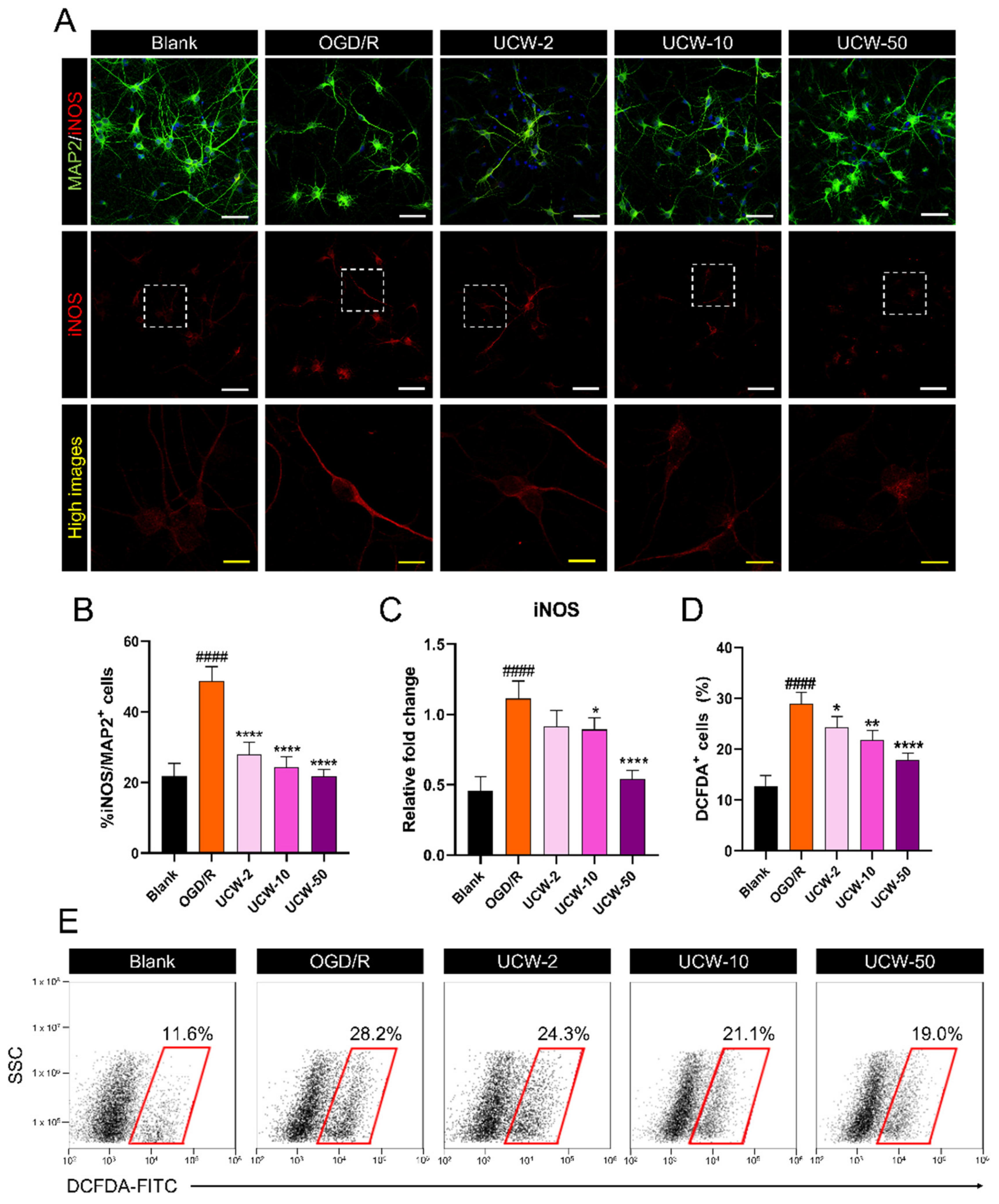 Antioxidants 11 01388 g002