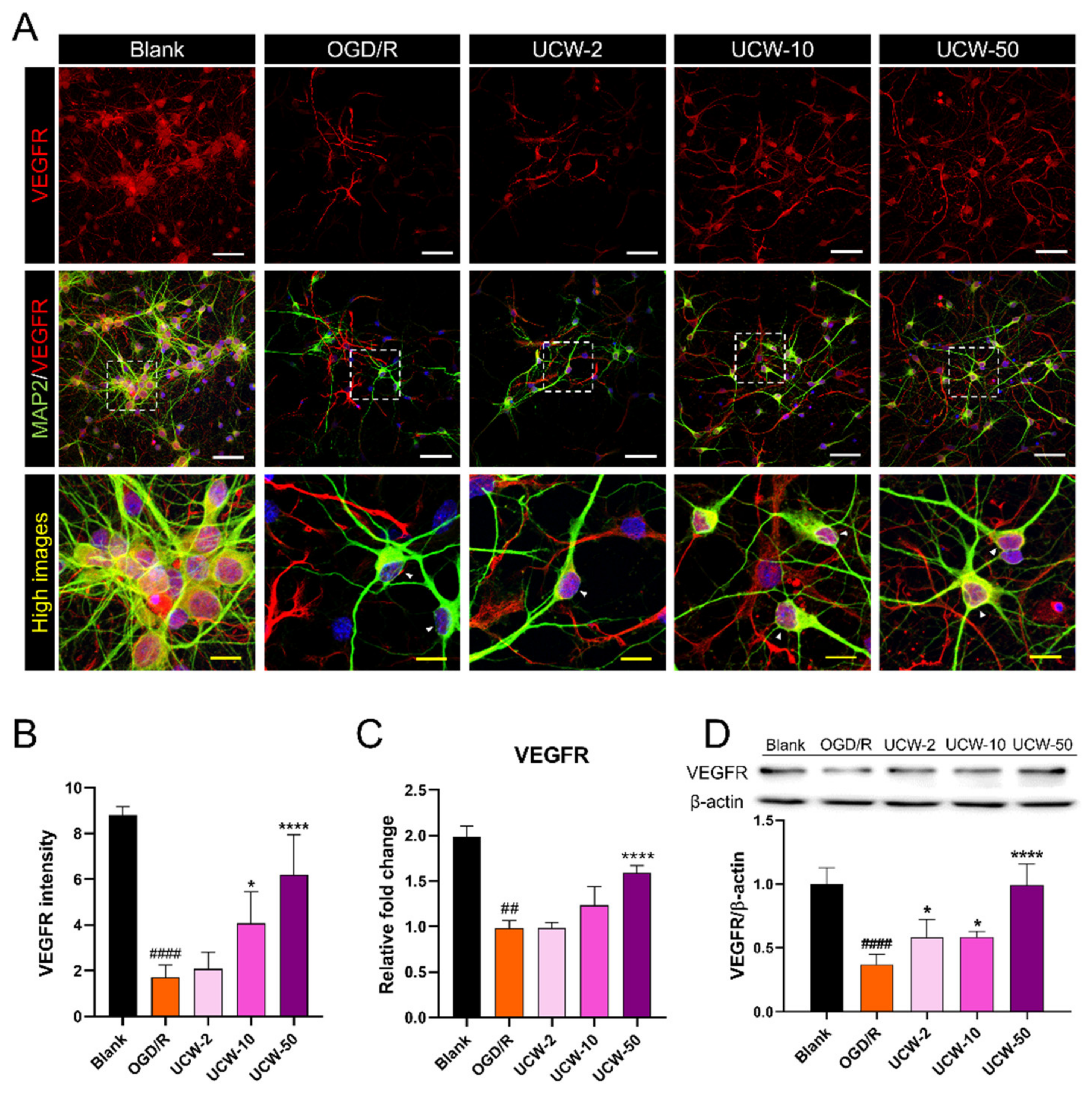 Antioxidants 11 01388 g003