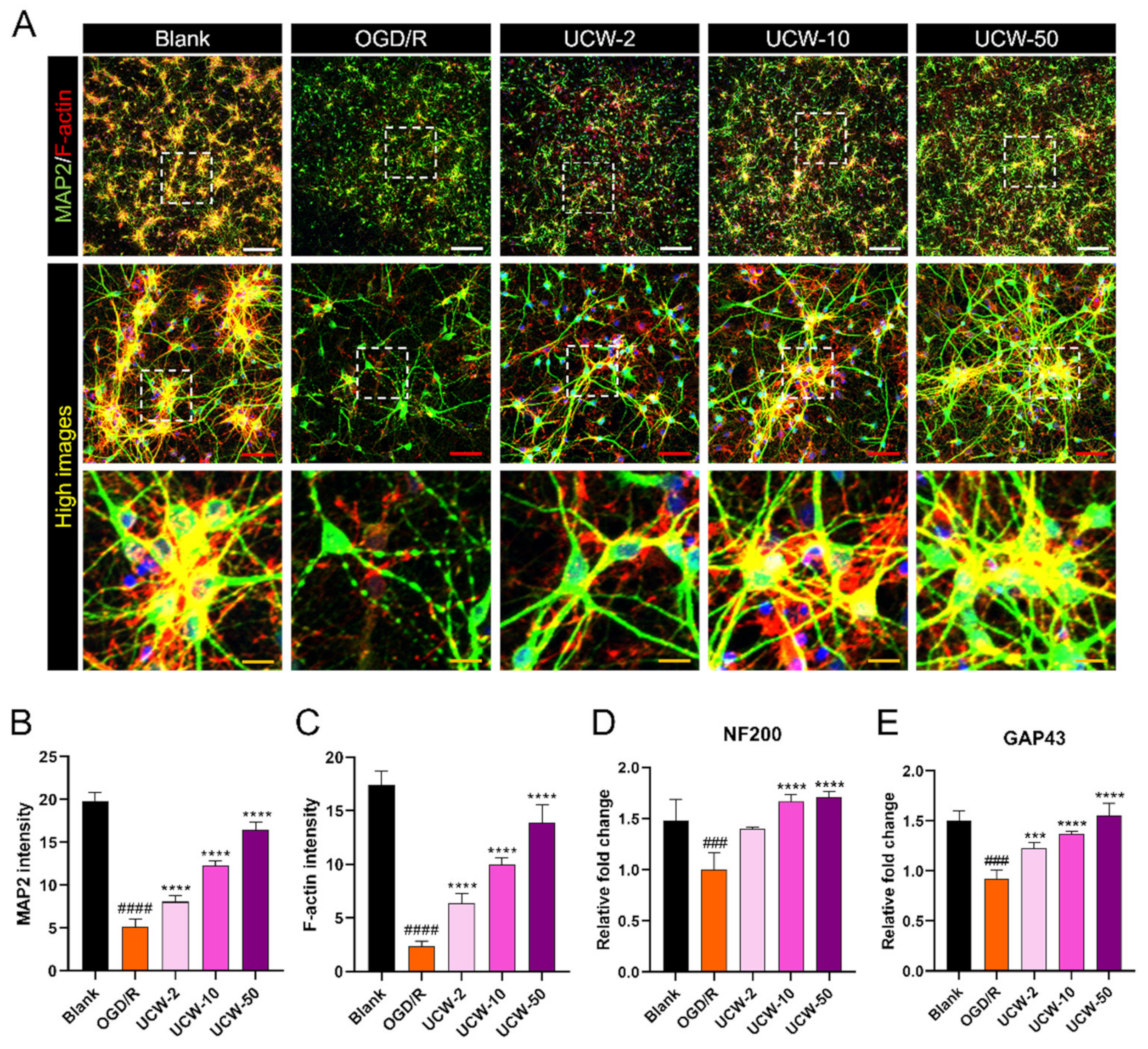 Antioxidants 11 01388 g004