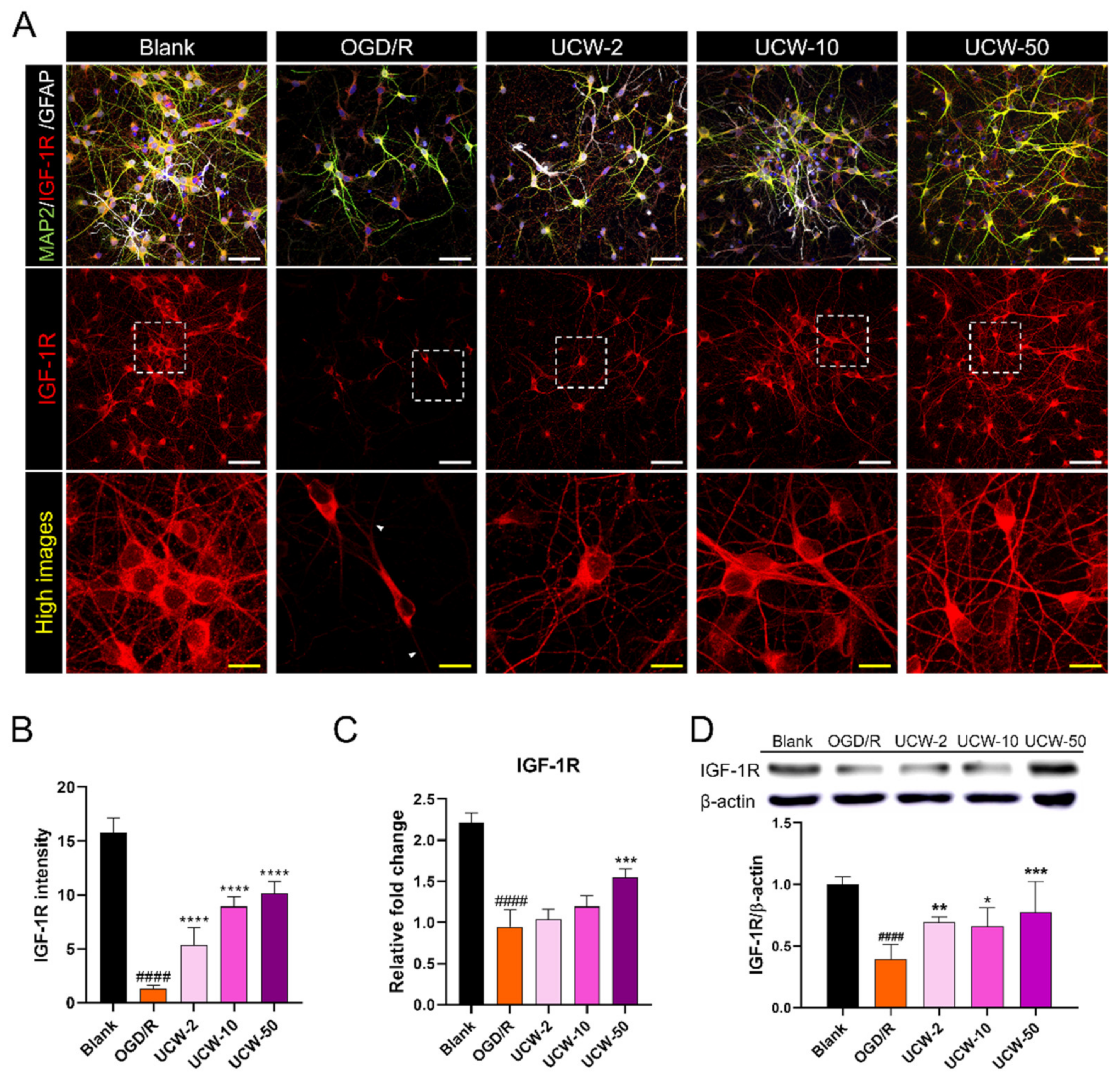 Antioxidants 11 01388 g005