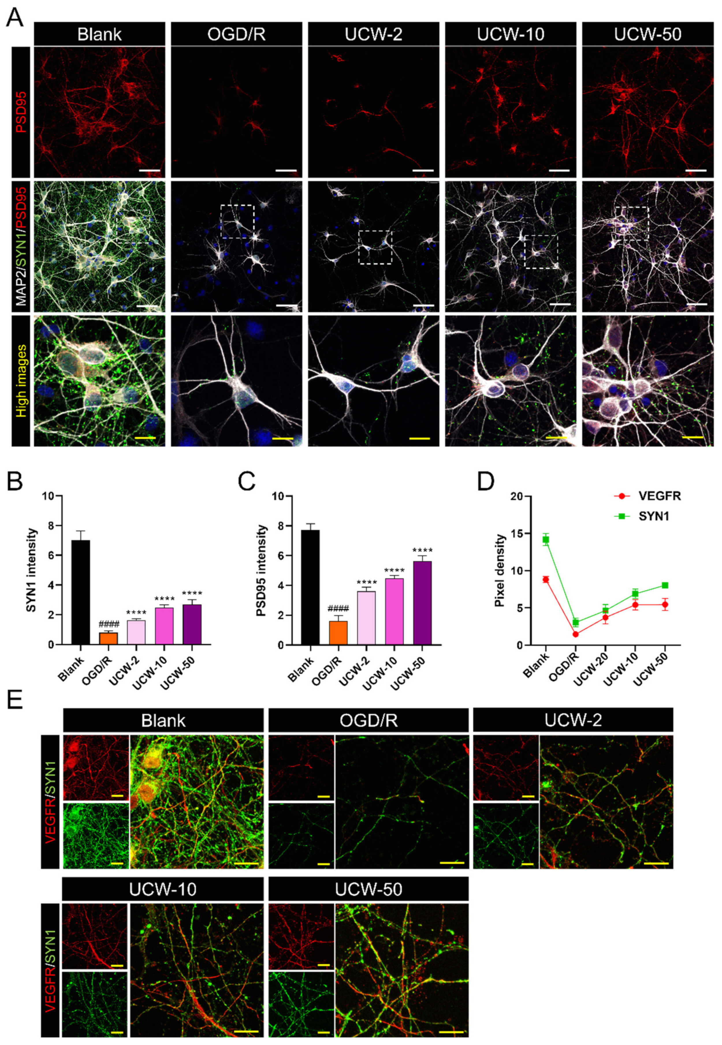 Antioxidants 11 01388 g006