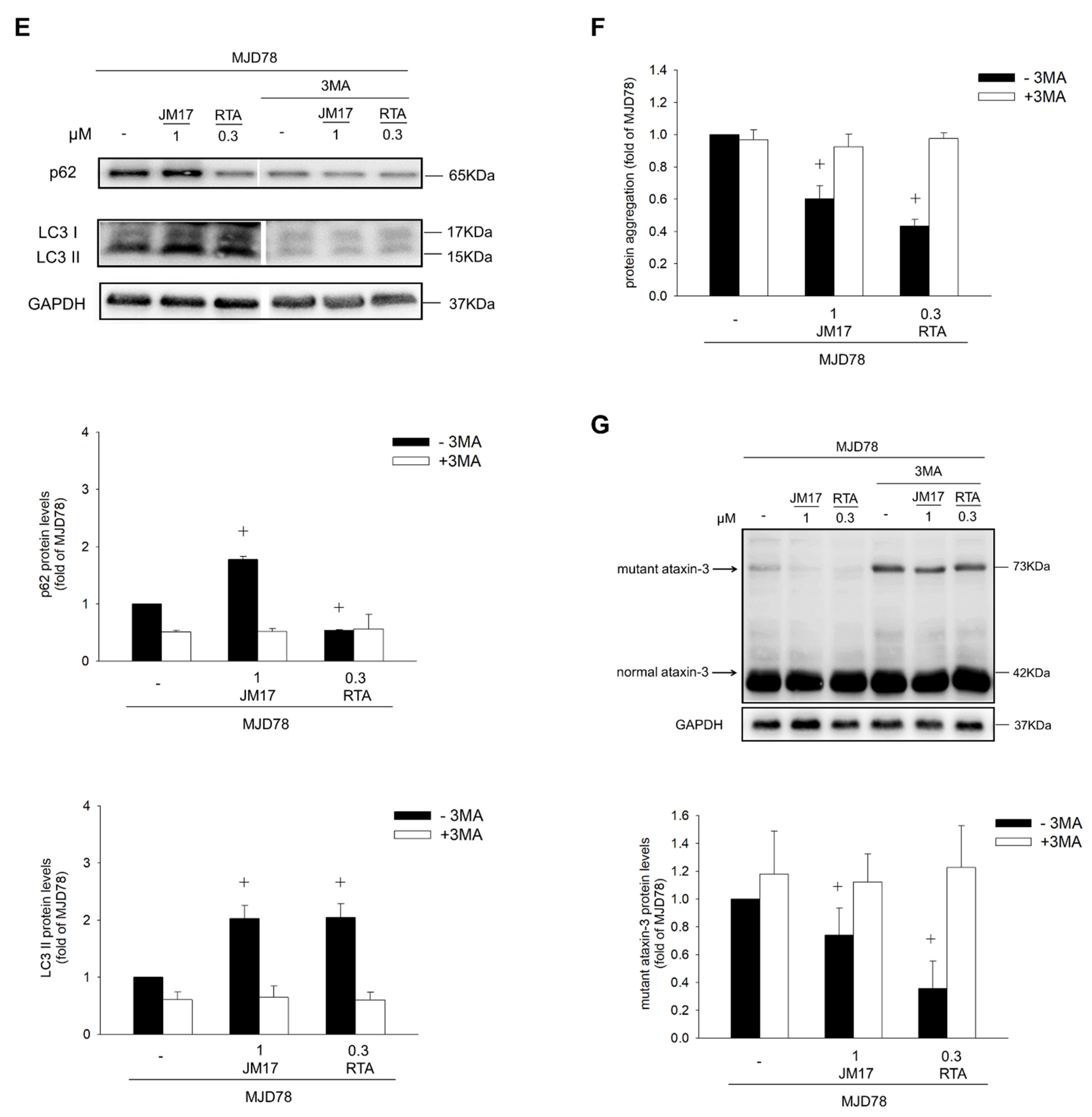 Antioxidants 11 01389 g002b Antioxidants 11 01389 g002b