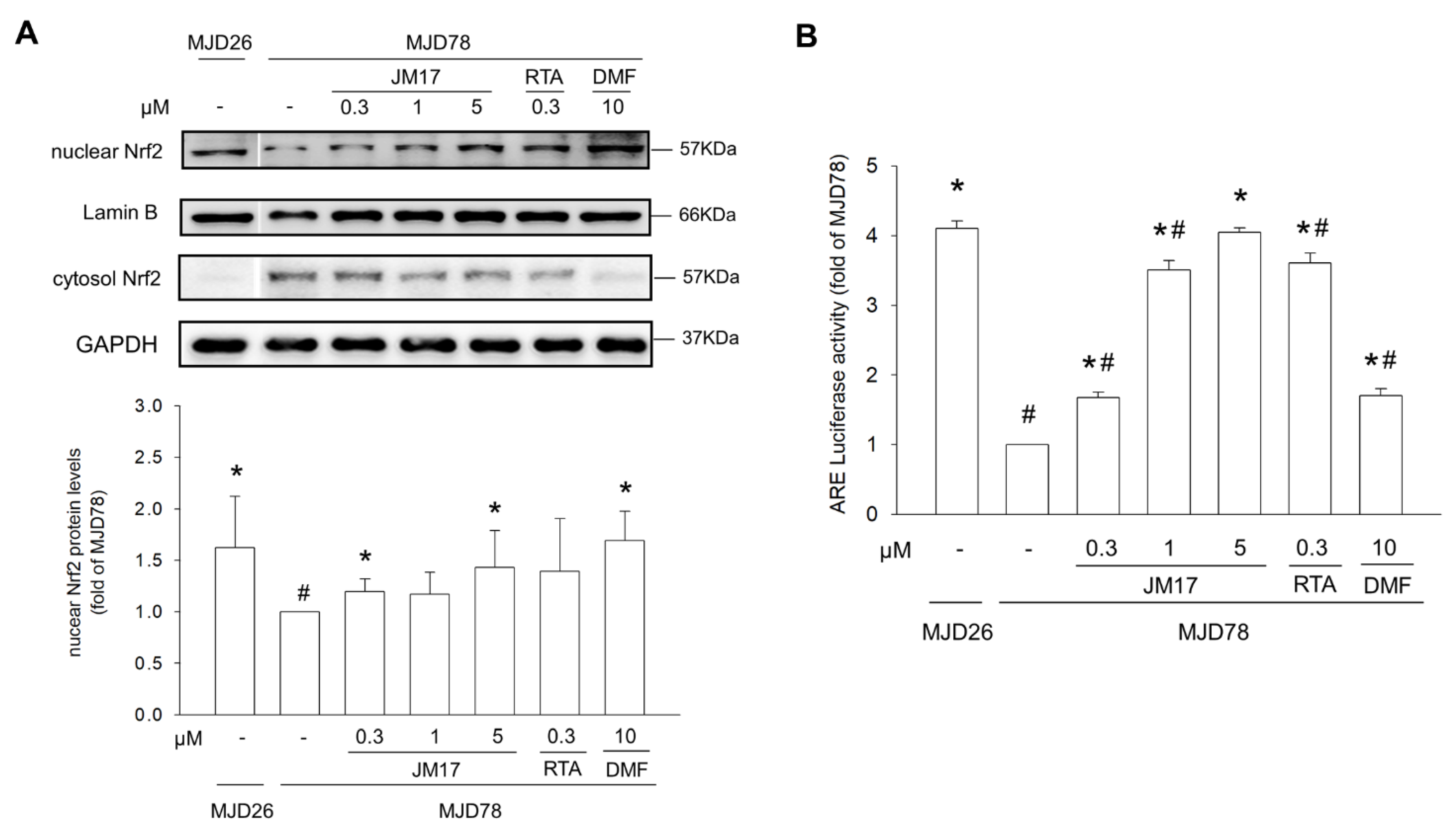 Antioxidants 11 01389 g004 Antioxidants 11 01389 g004