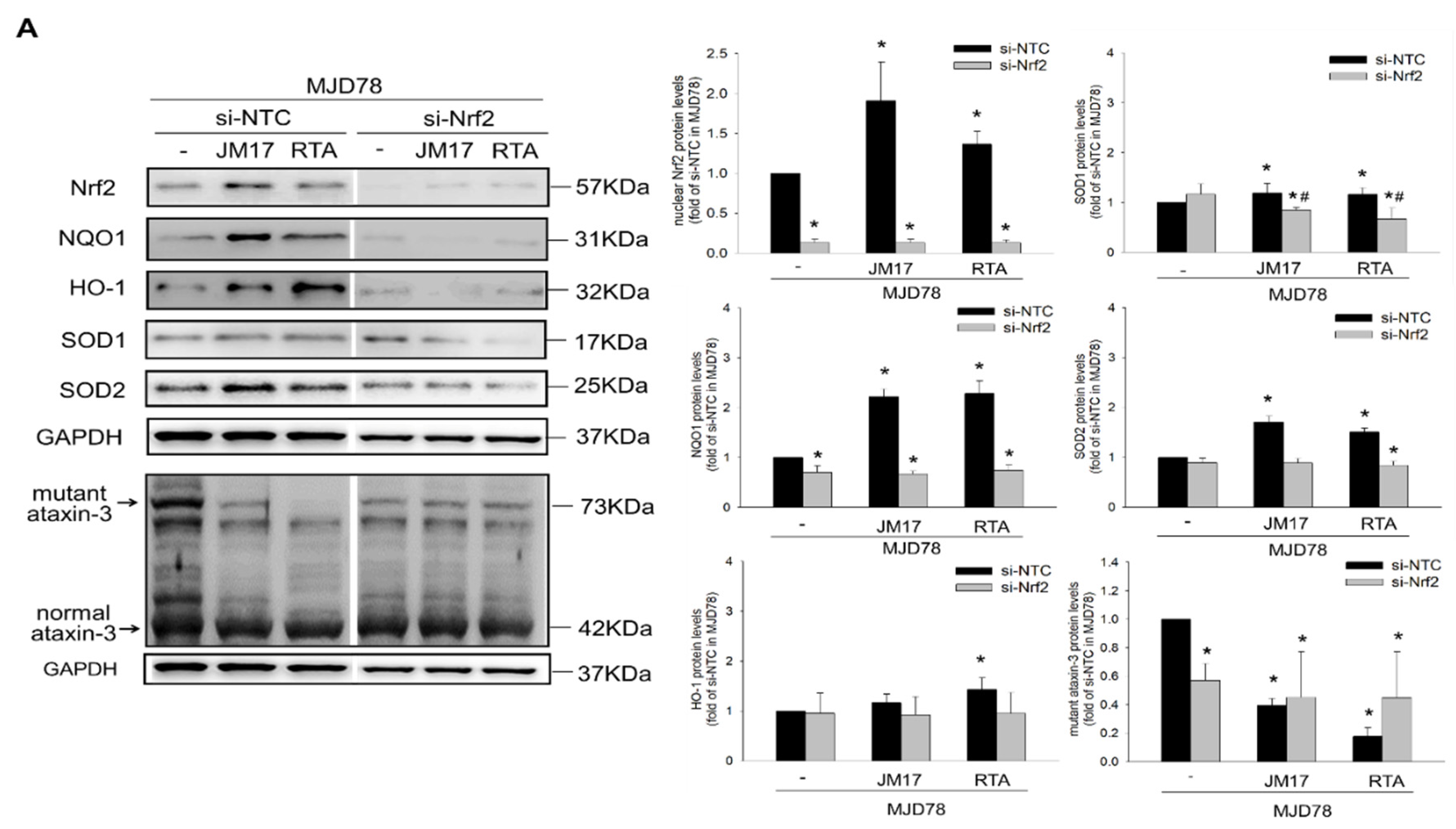 Antioxidants 11 01389 g005a Antioxidants 11 01389 g005a
