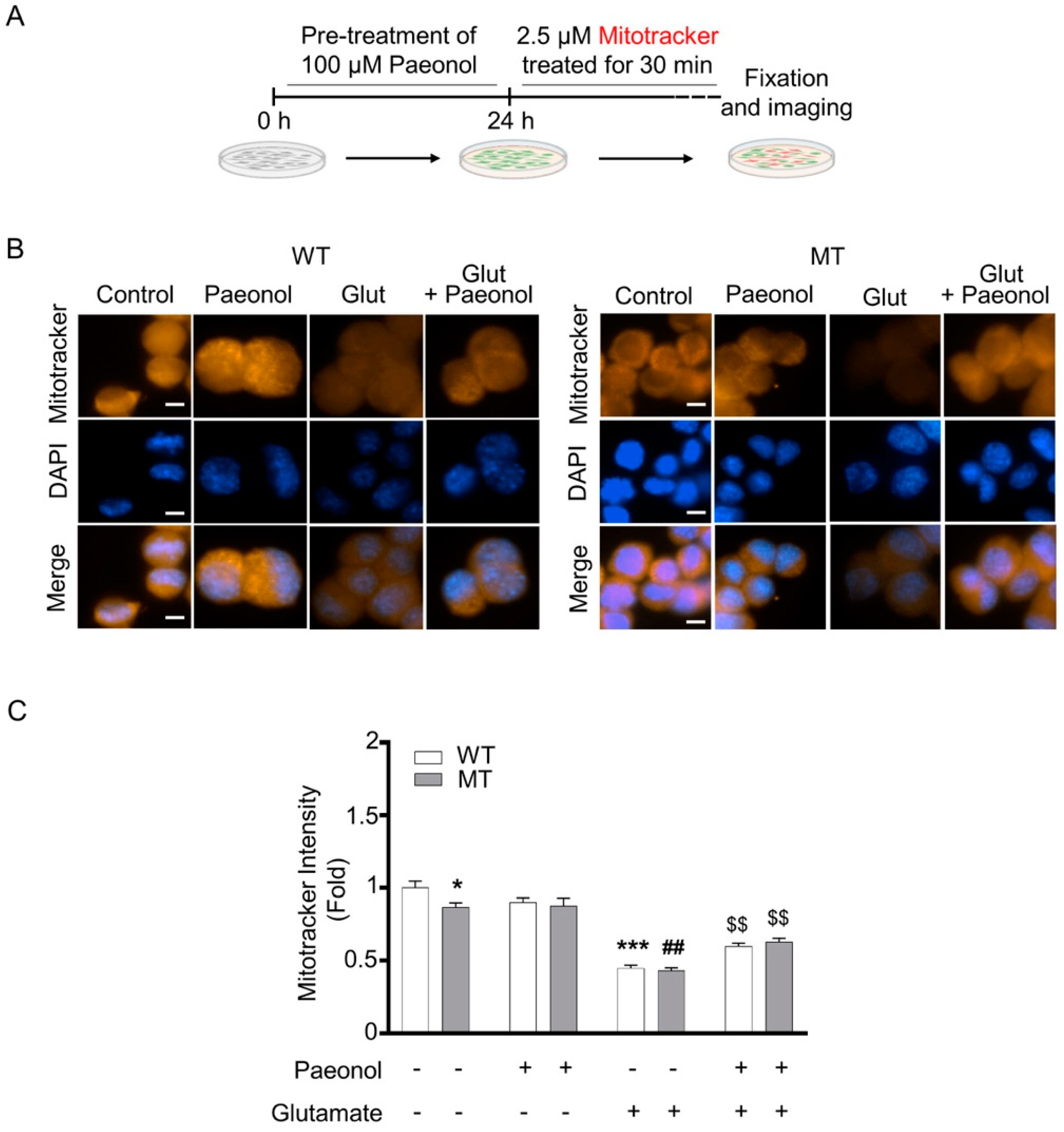 Antioxidants 11 01392 g003 Antioxidants 11 01392 g003