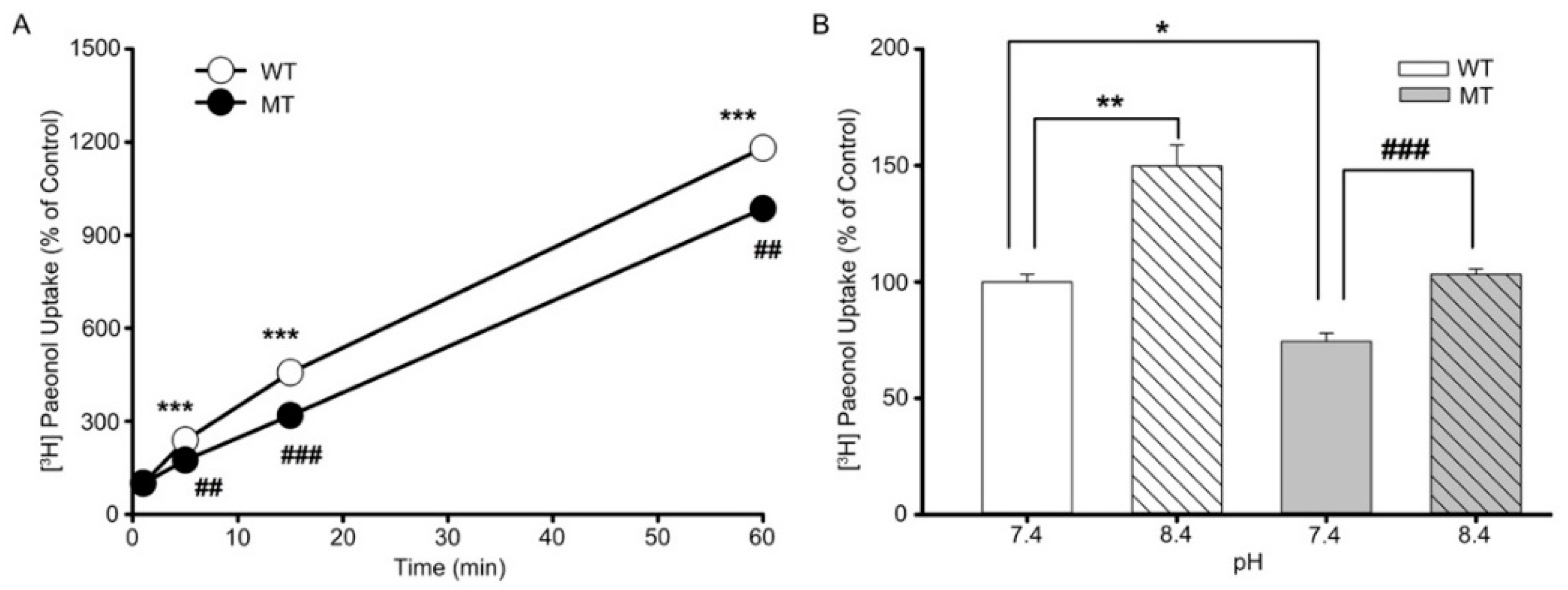 Antioxidants 11 01392 g005 Antioxidants 11 01392 g005
