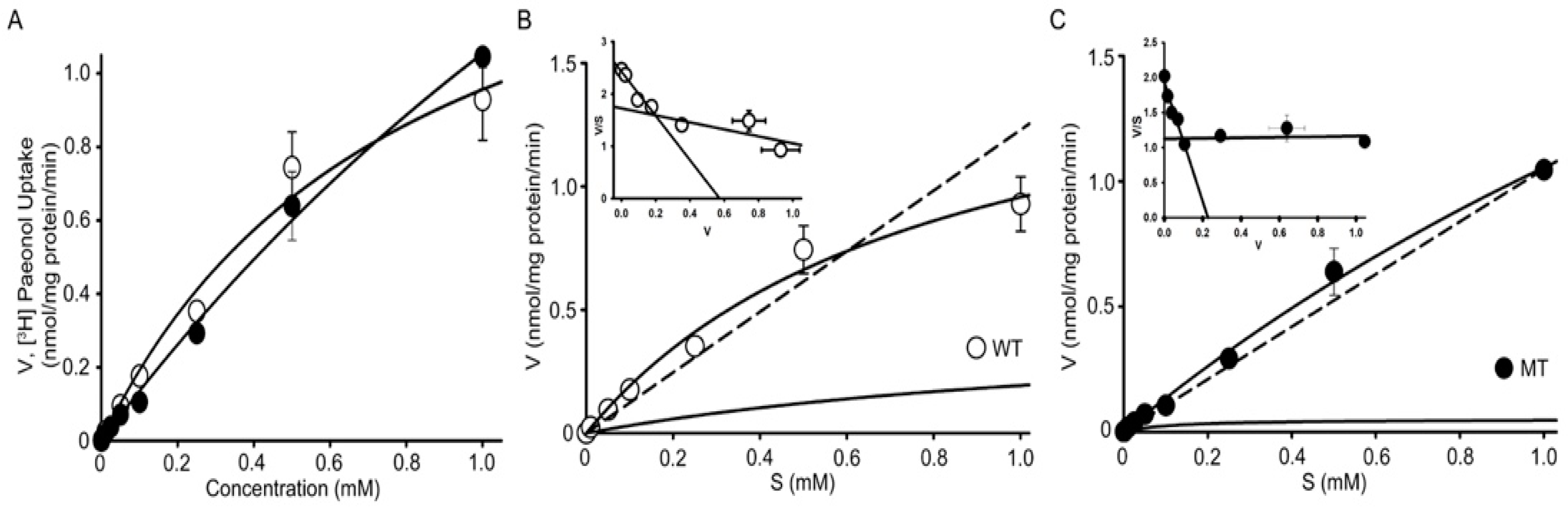 Antioxidants 11 01392 g006 Antioxidants 11 01392 g006