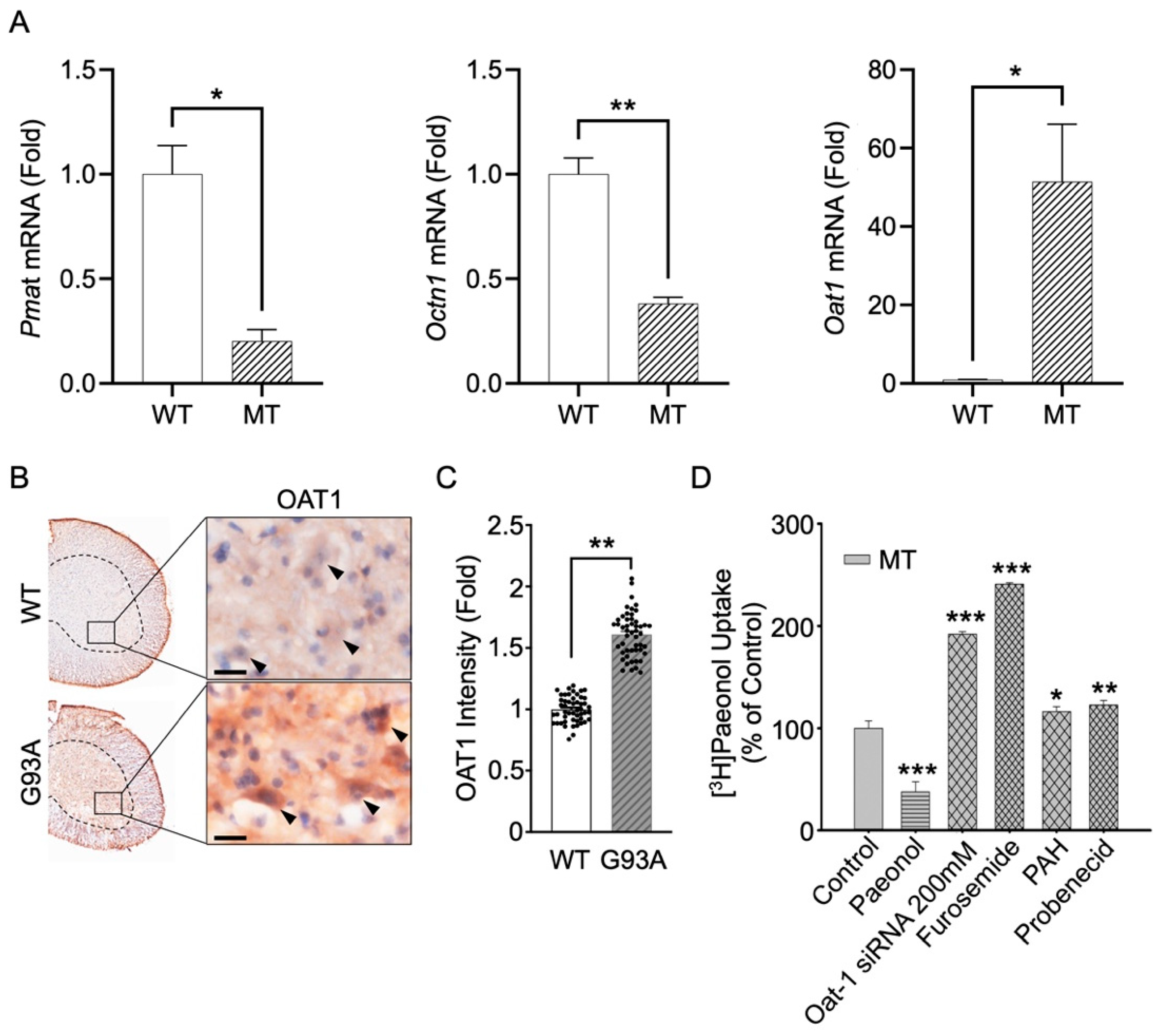 Antioxidants 11 01392 g007 Antioxidants 11 01392 g007