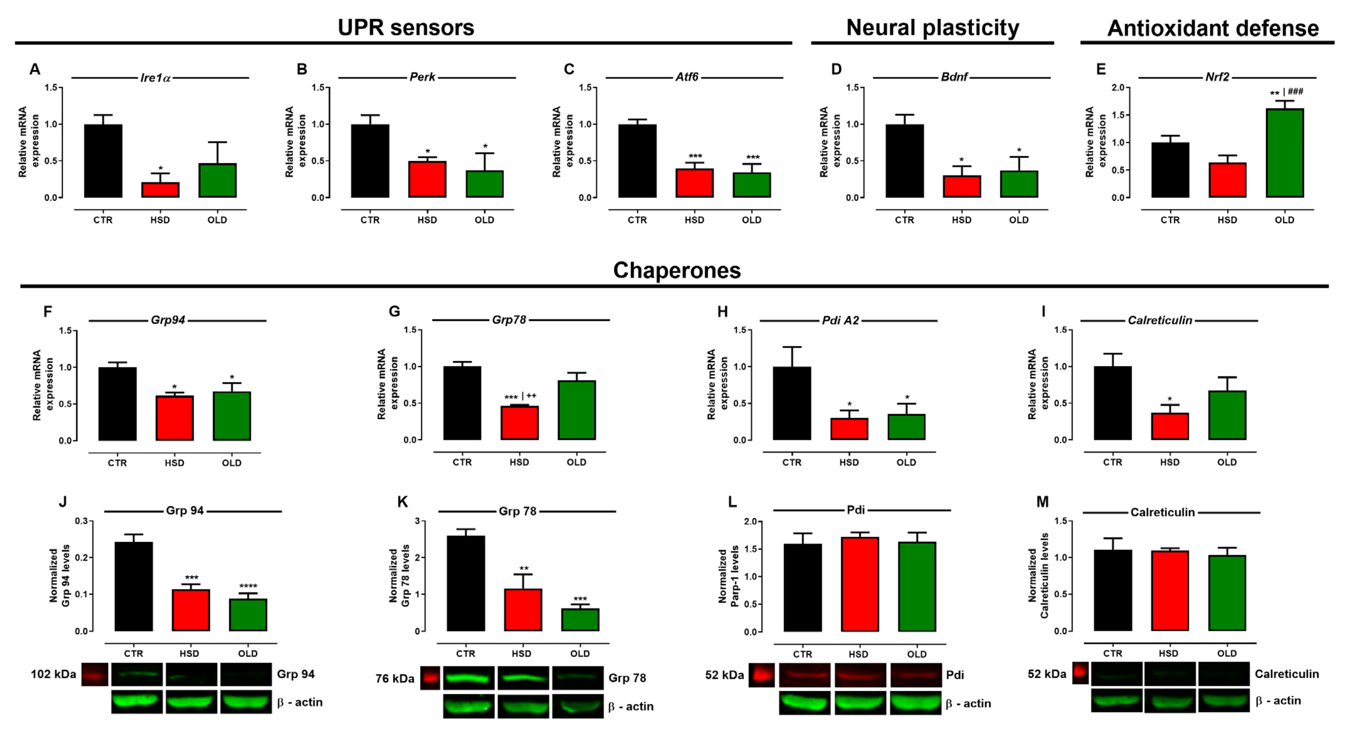 Antioxidants 11 01395 g005