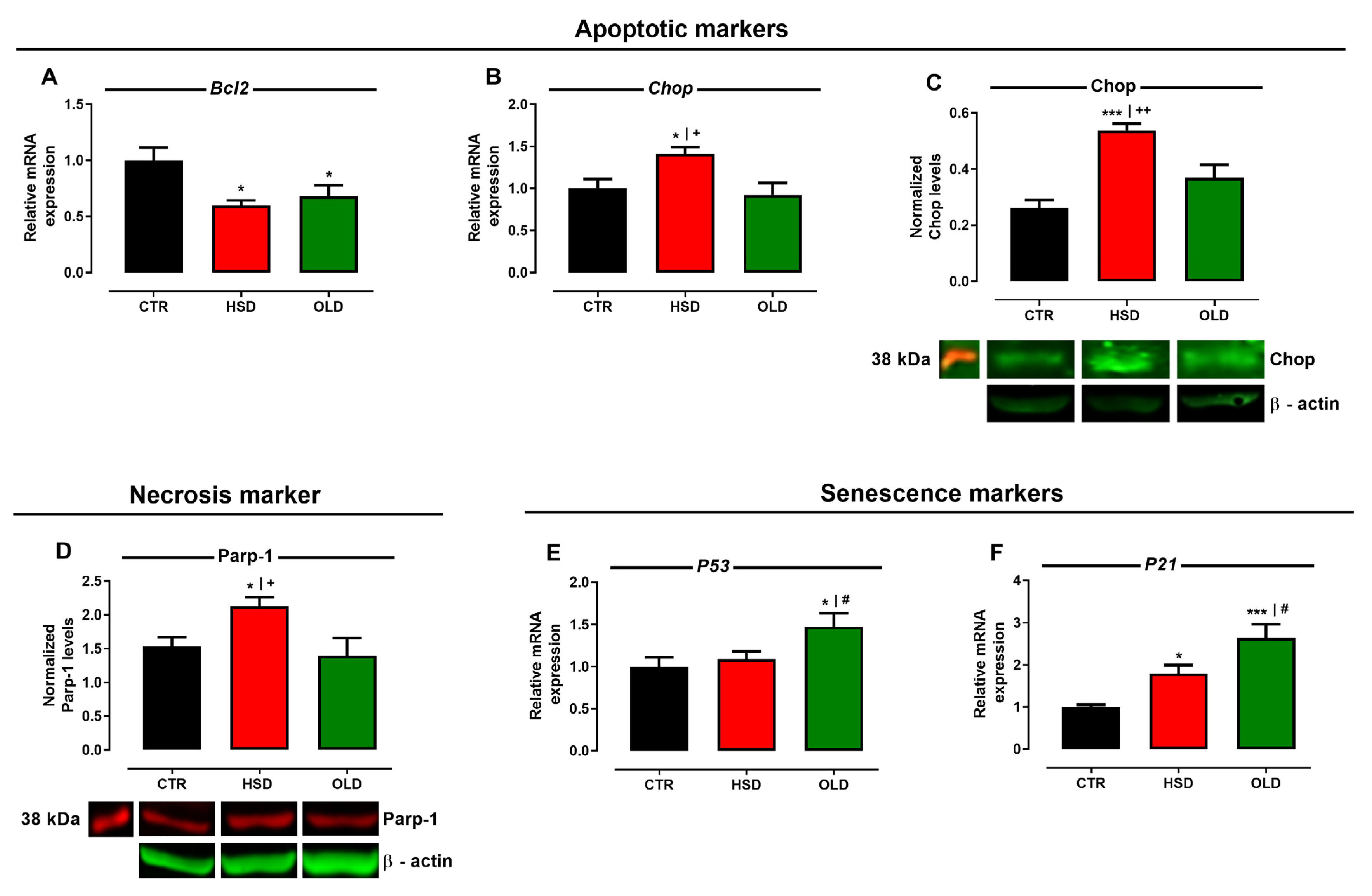Antioxidants 11 01395 g006