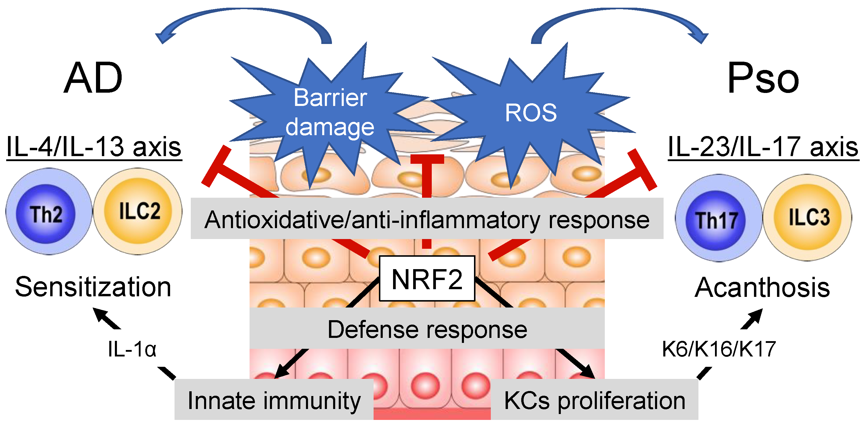 Antioxidants 11 01397 g001