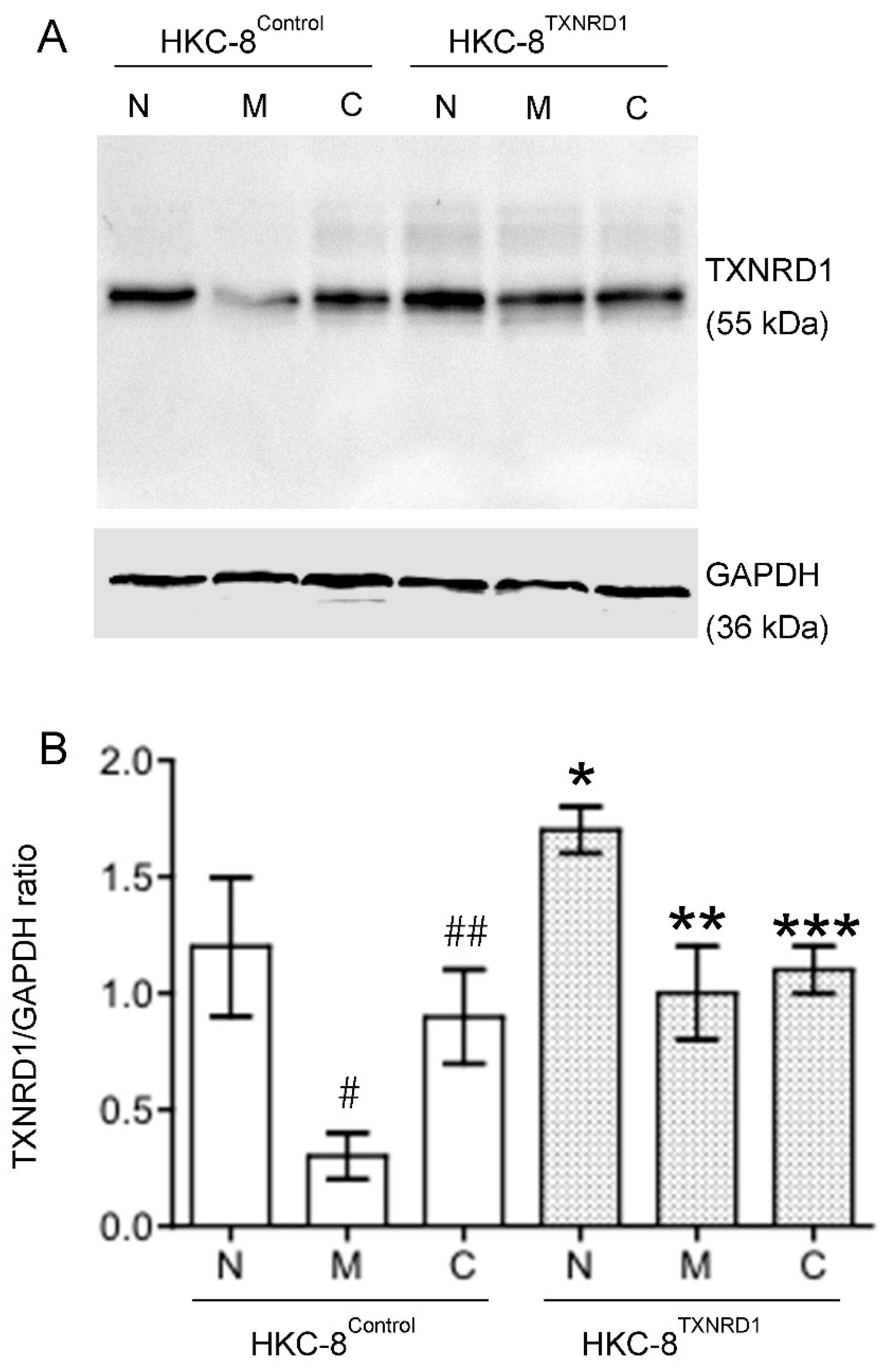 Antioxidants 11 01399 g008