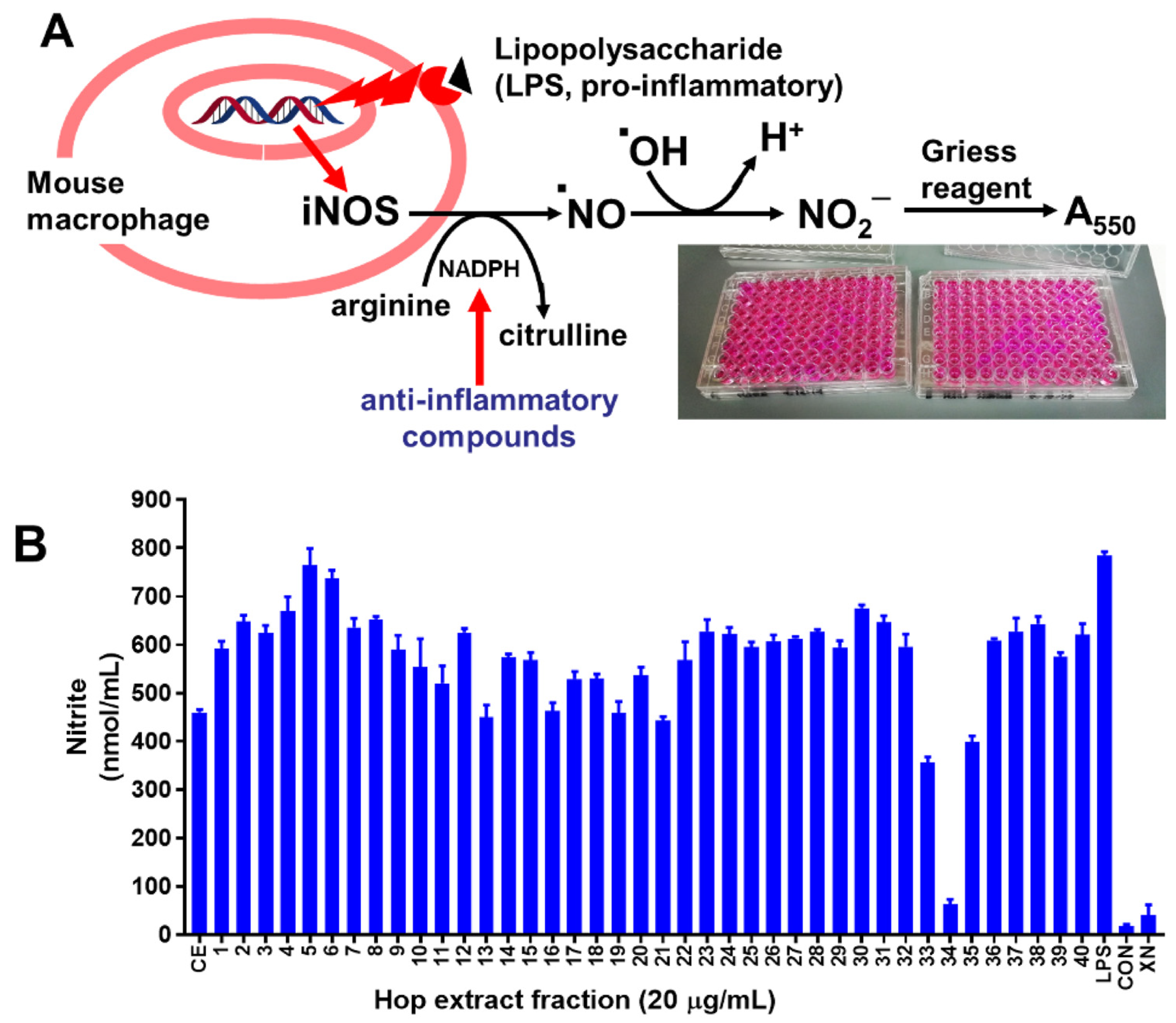 Antioxidants 11 01400 g001