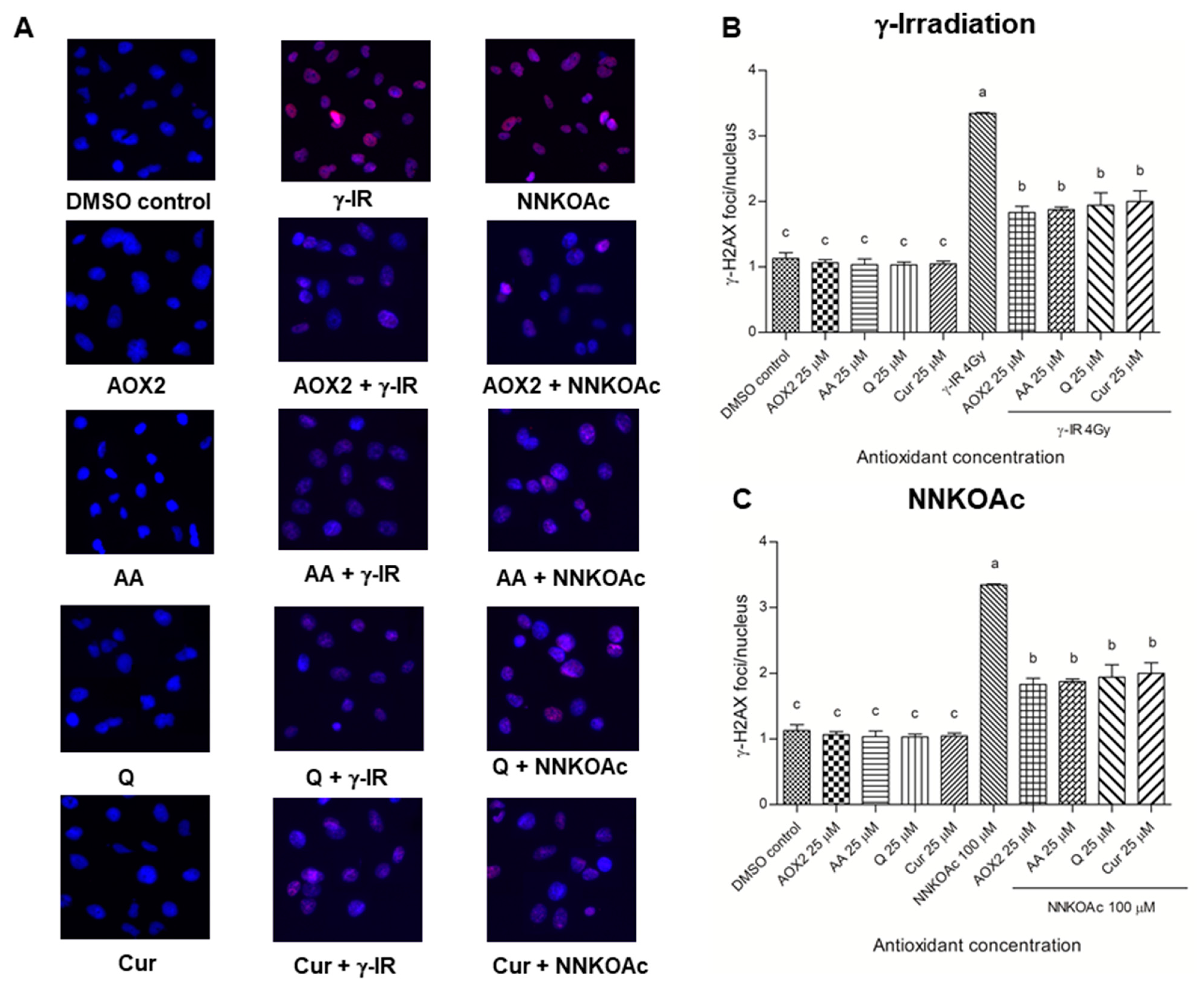 Antioxidants 11 01407 g005