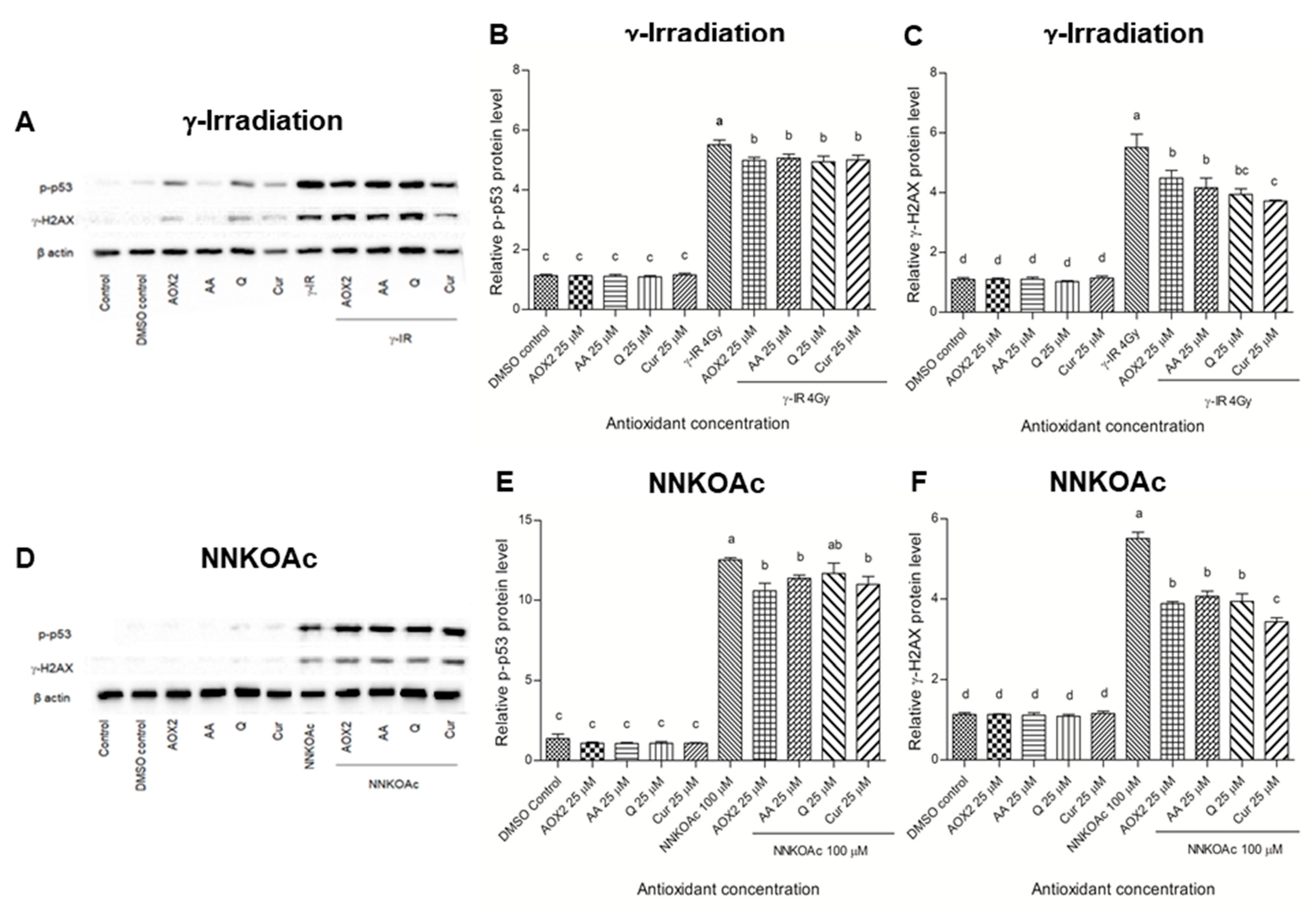 Antioxidants 11 01407 g007