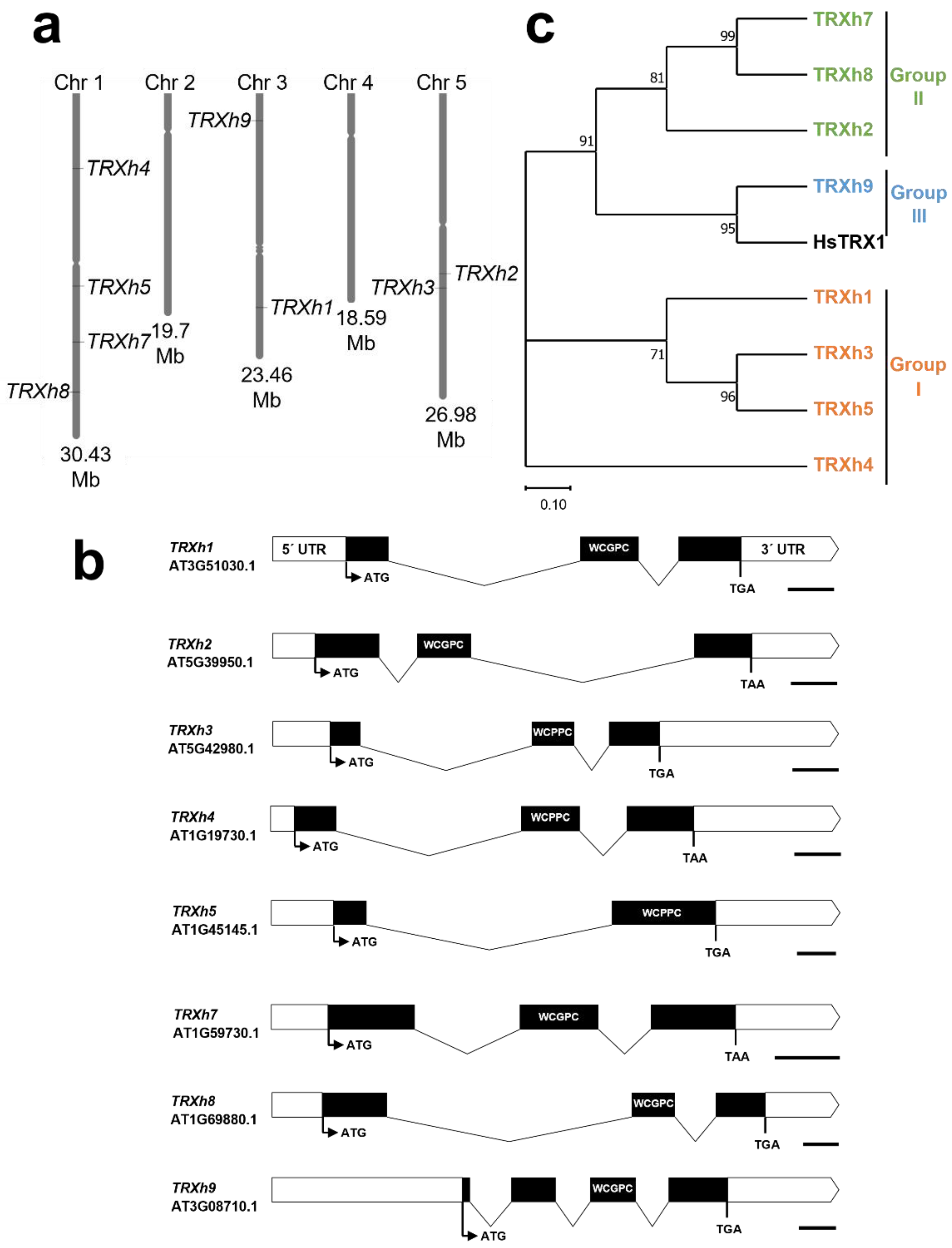 Antioxidants 11 01411 g002