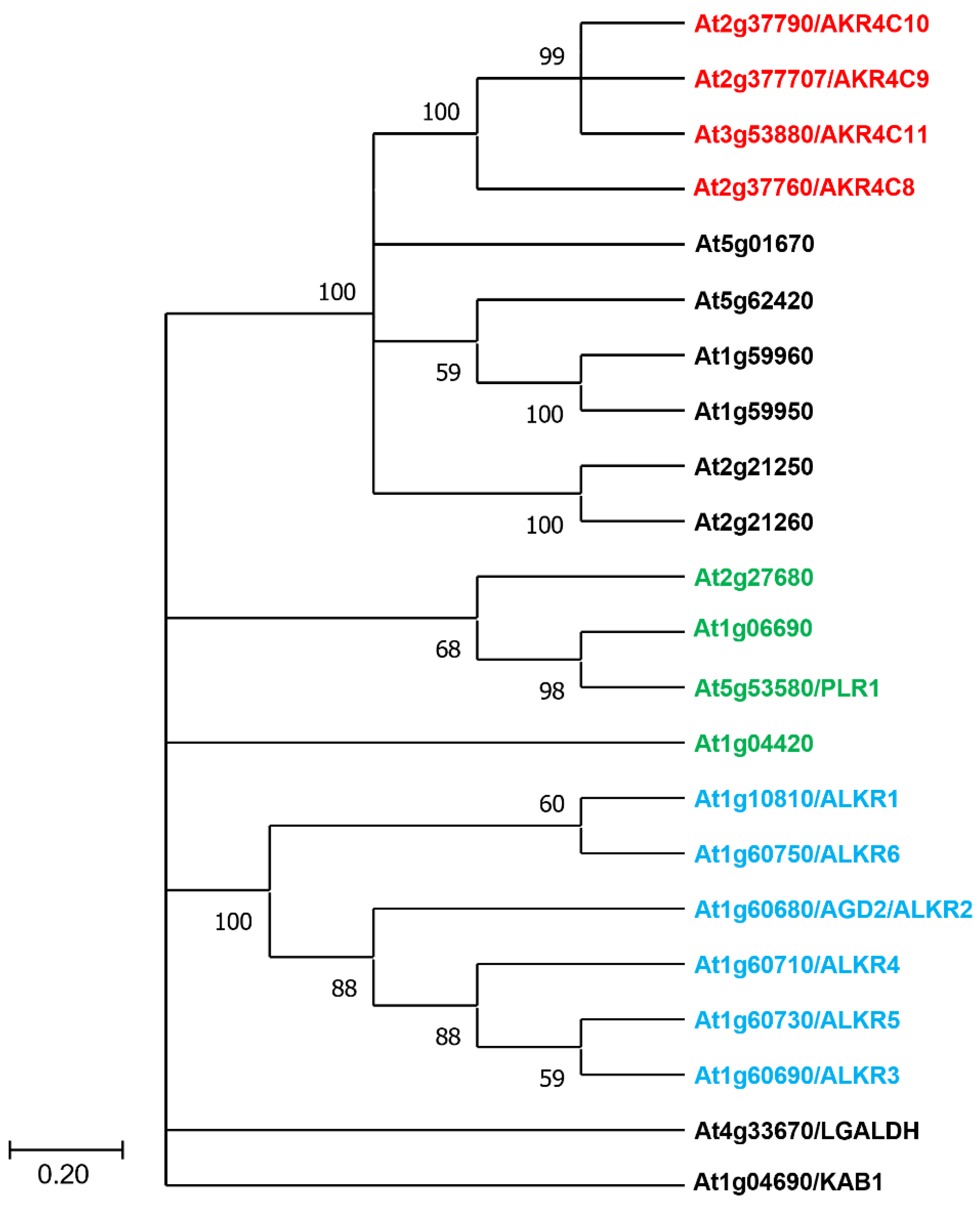 Antioxidants 11 01411 g005