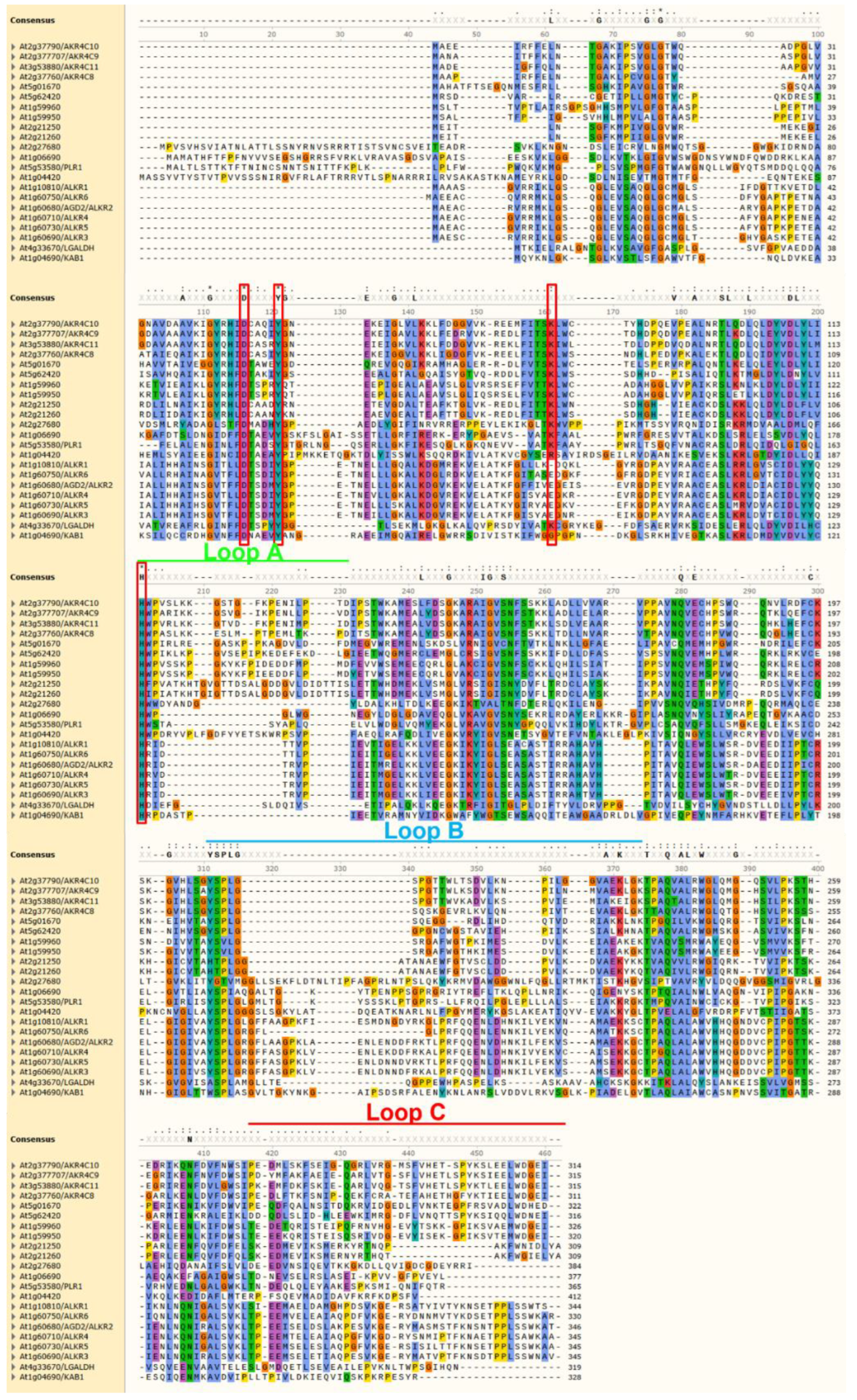 Antioxidants 11 01411 g006