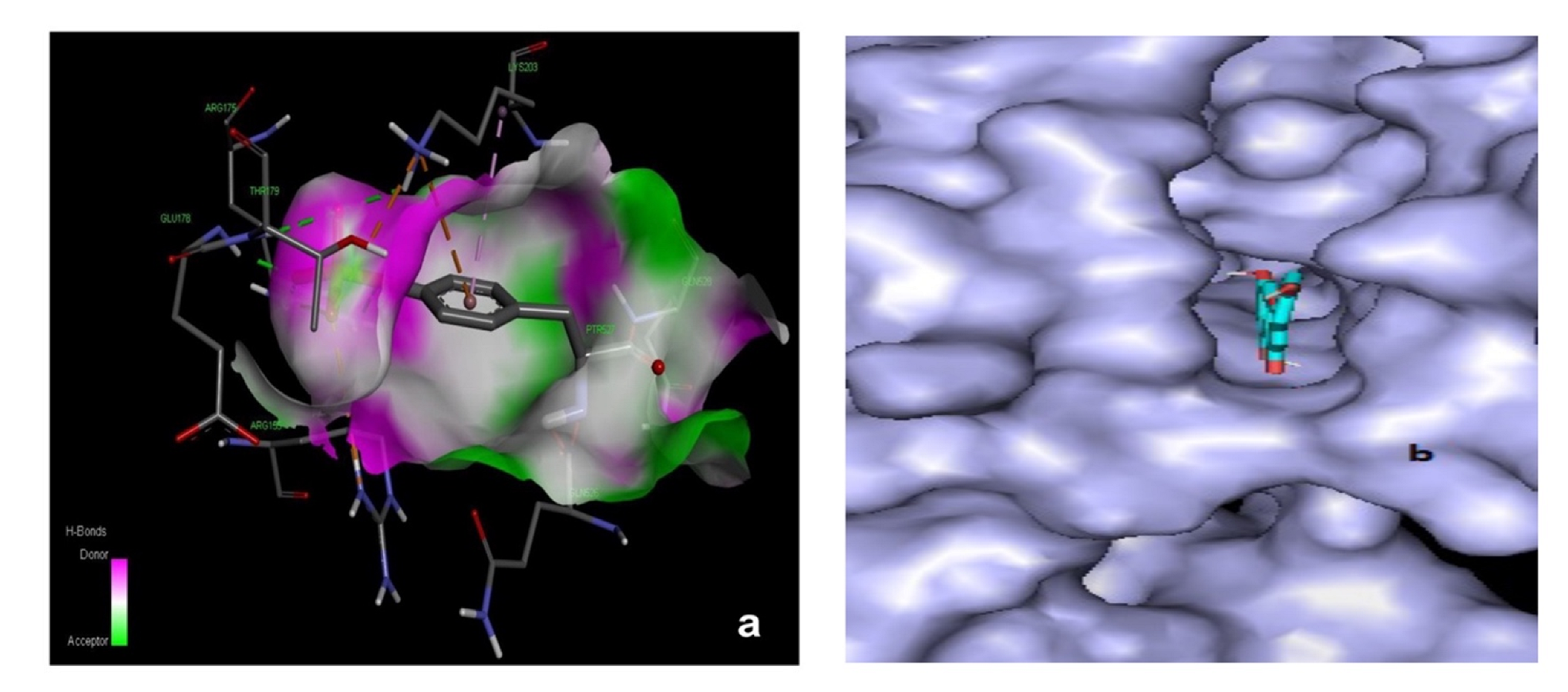 Antioxidants 11 01413 g012
