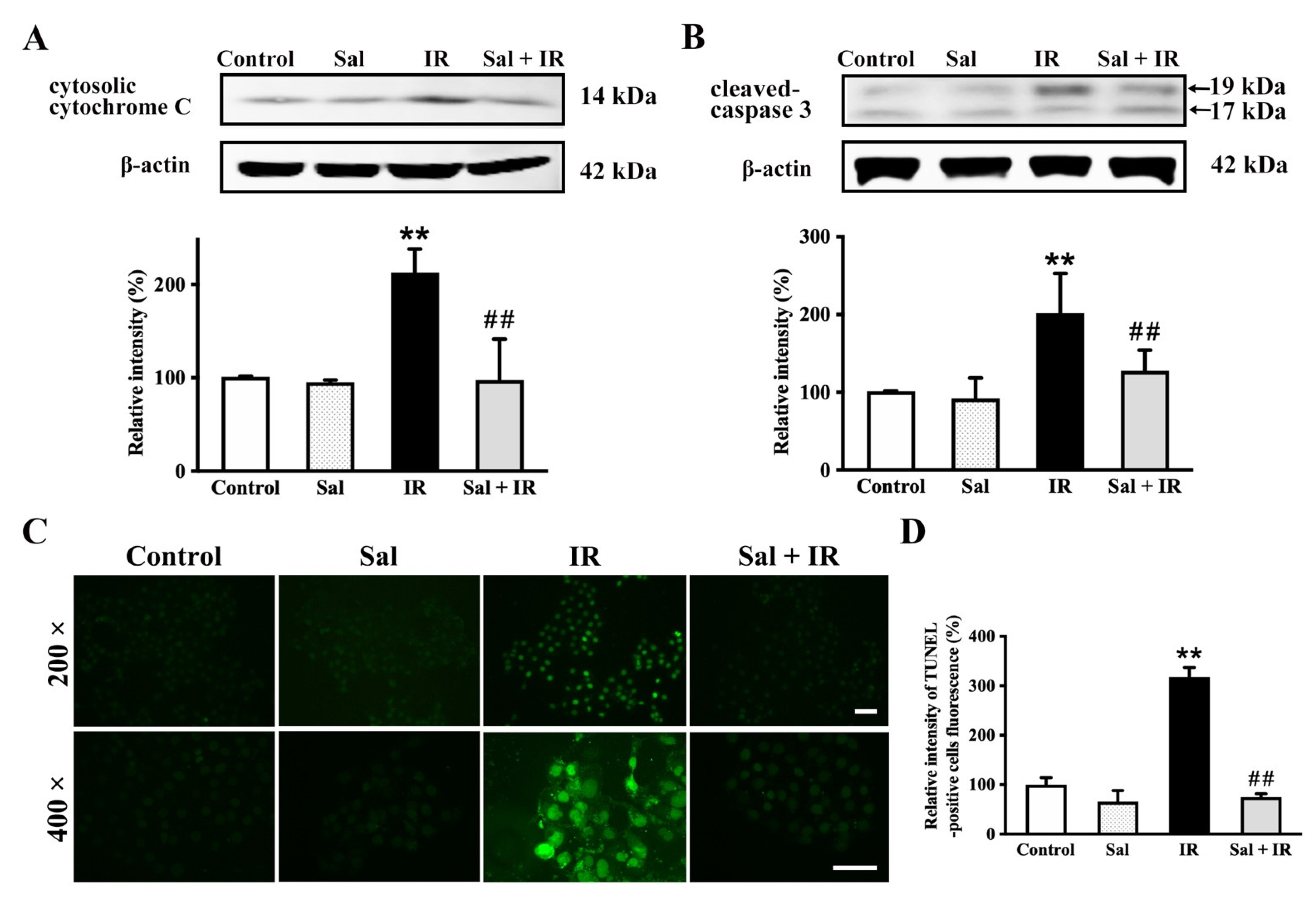 Antioxidants 11 01414 g005