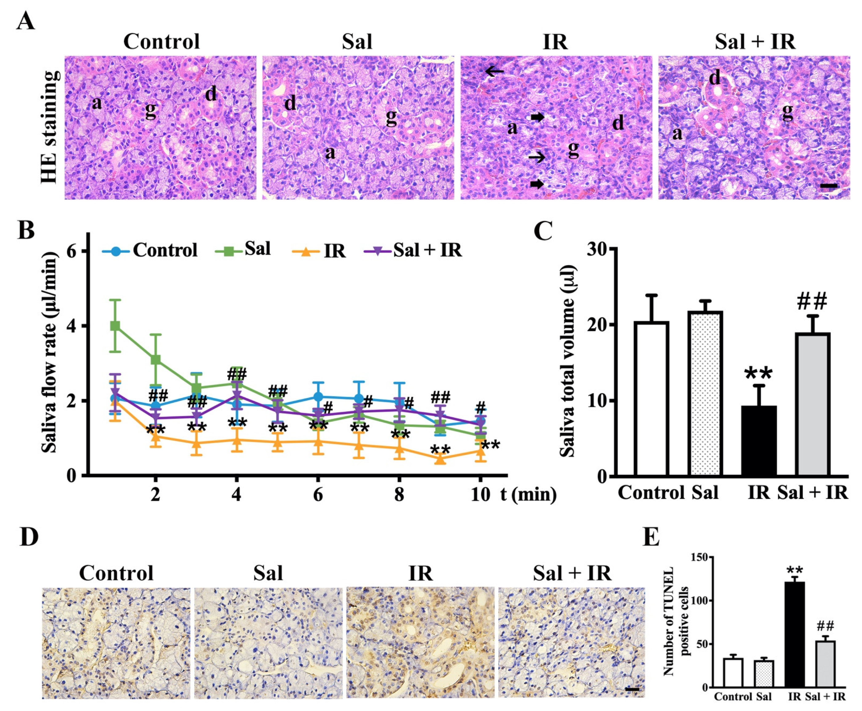 Antioxidants 11 01414 g006