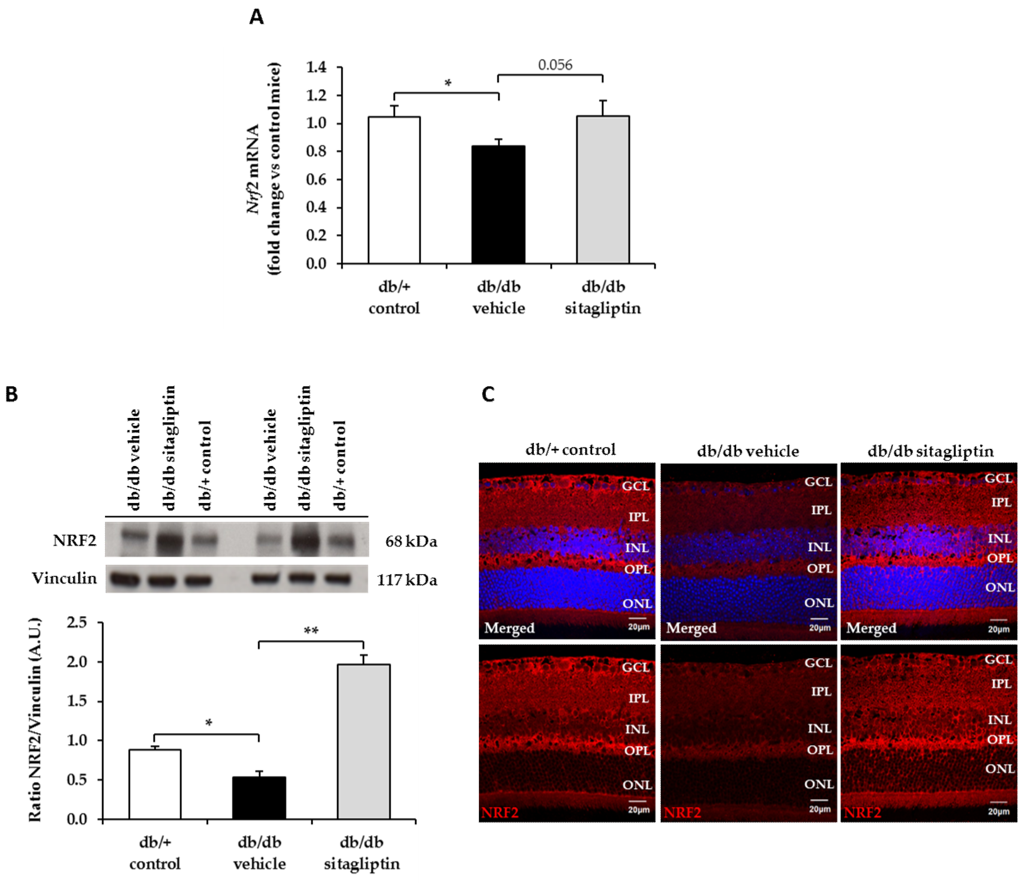 Antioxidants 11 01418 g002