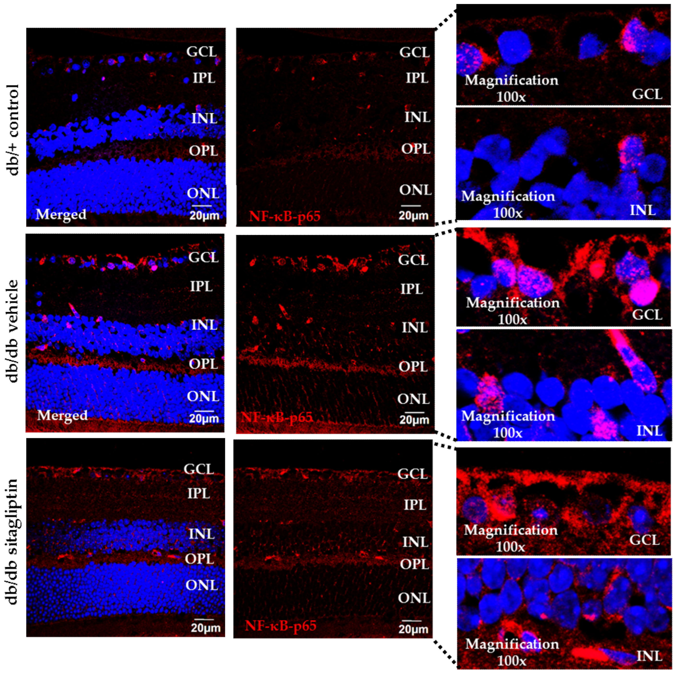 Antioxidants 11 01418 g007
