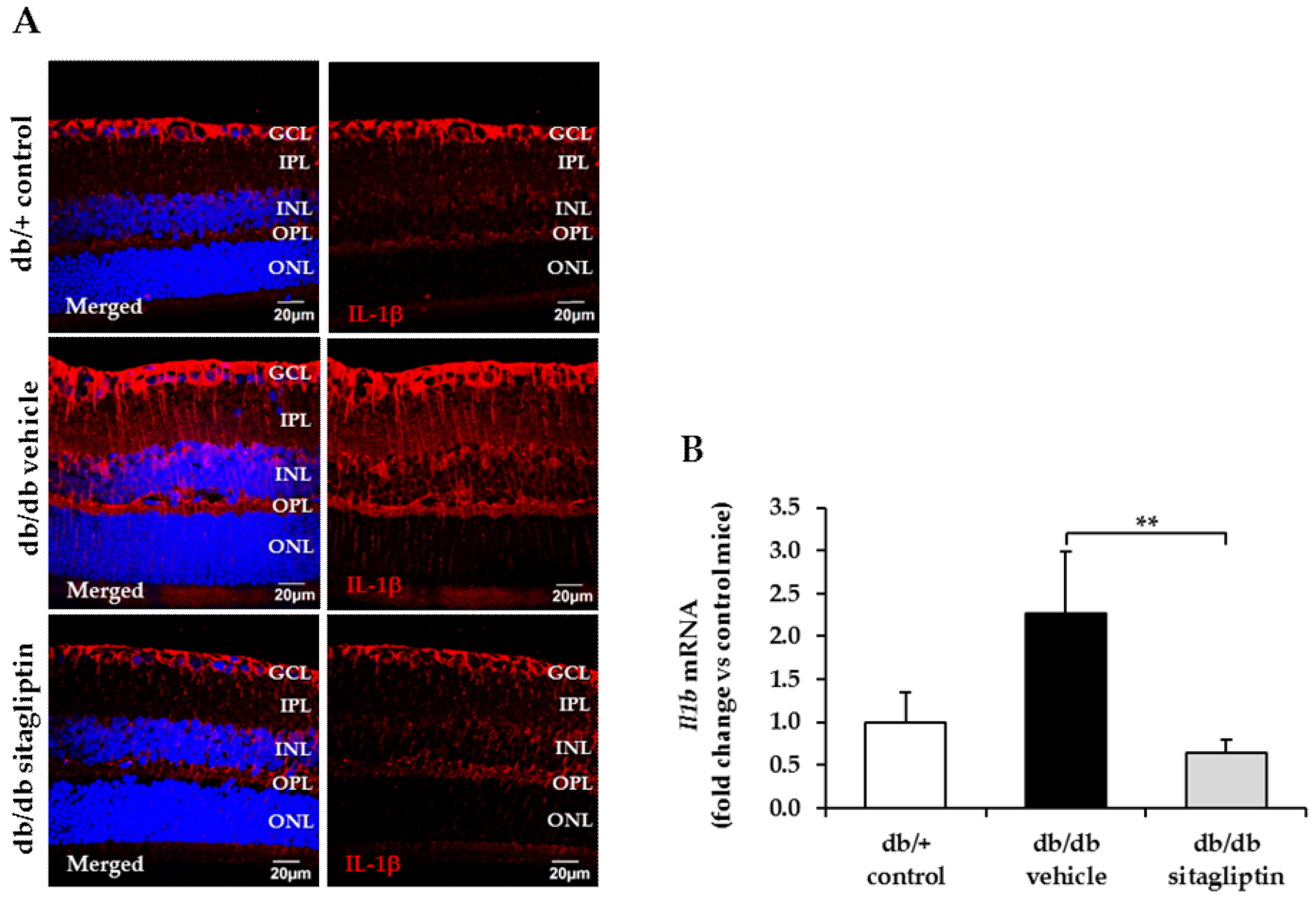 Antioxidants 11 01418 g008