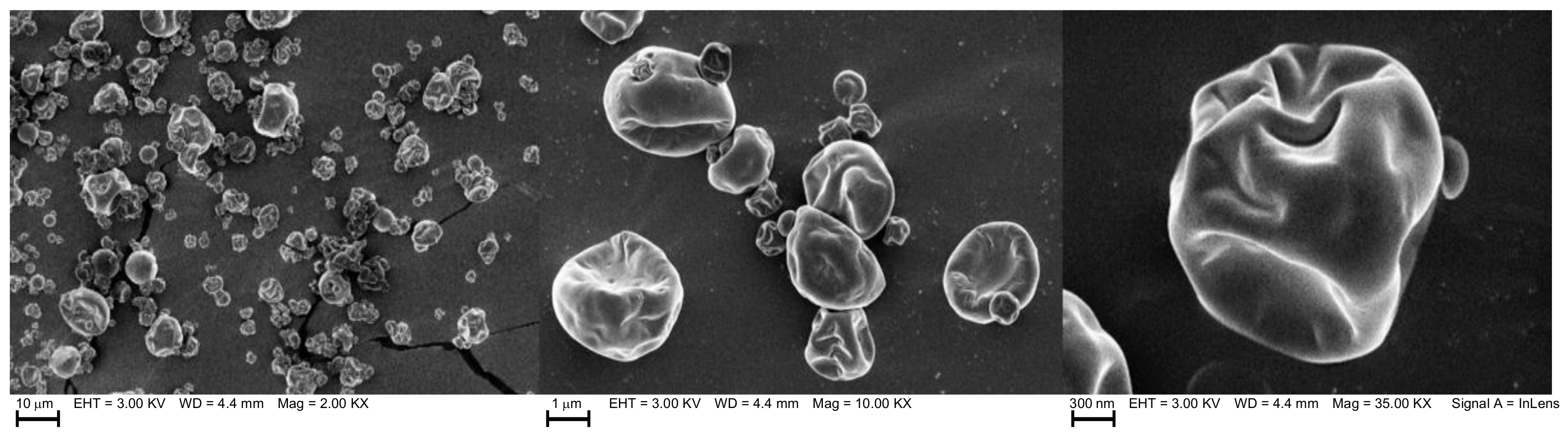 Antioxidants 11 01420 g001